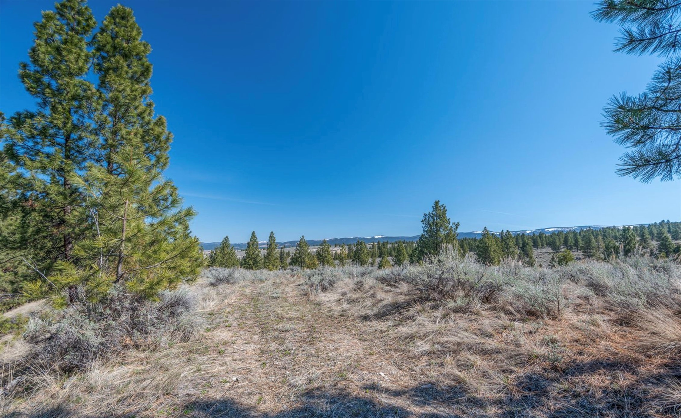 Parcel C Chase Lane Property Photo 3