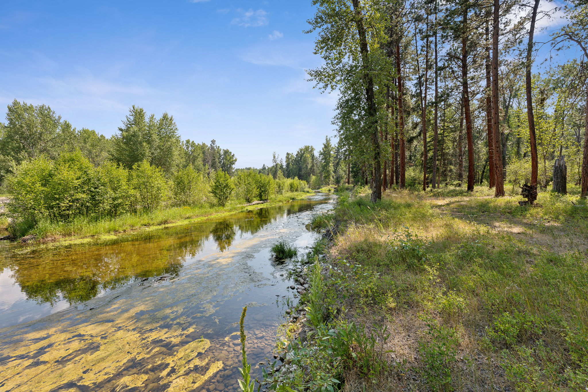 2848 E Gorus Loop Property Photo 44