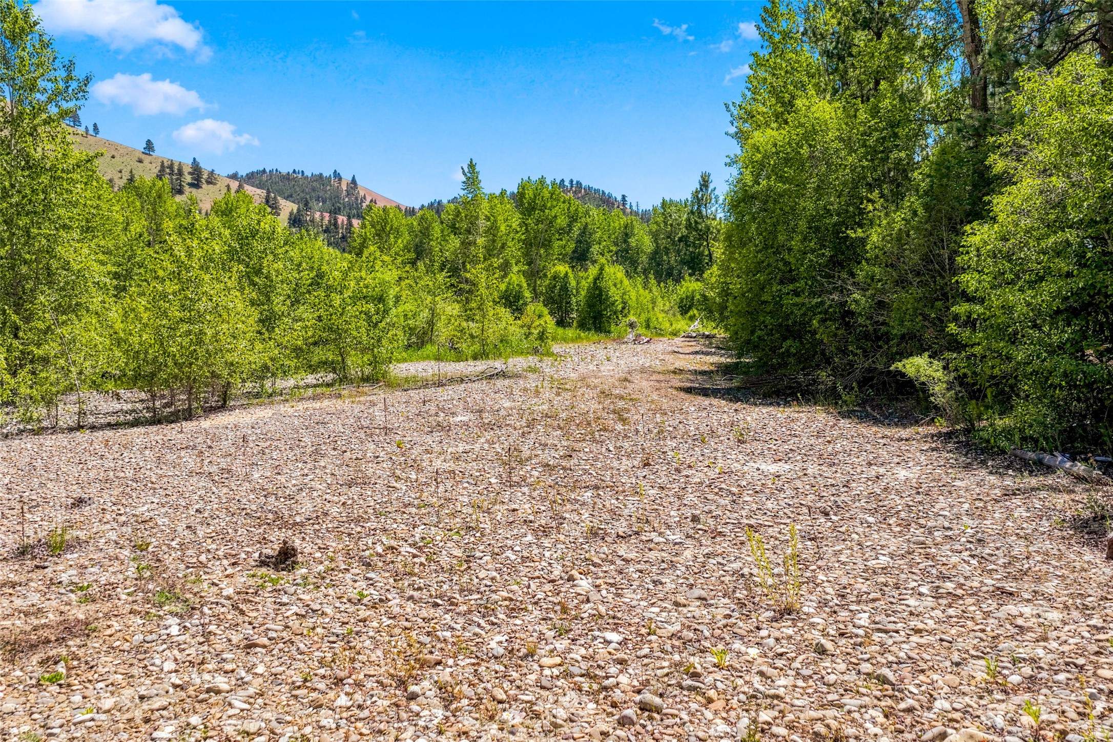 2848 E Gorus Loop Property Photo 64