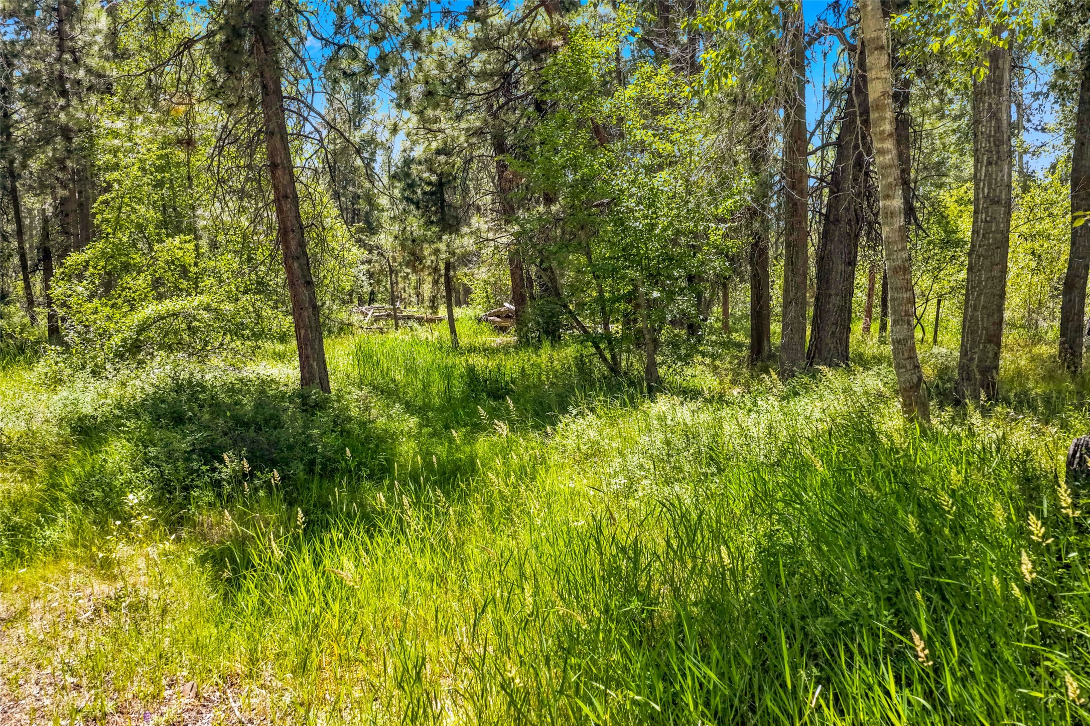 2848 E Gorus Loop Property Photo 66
