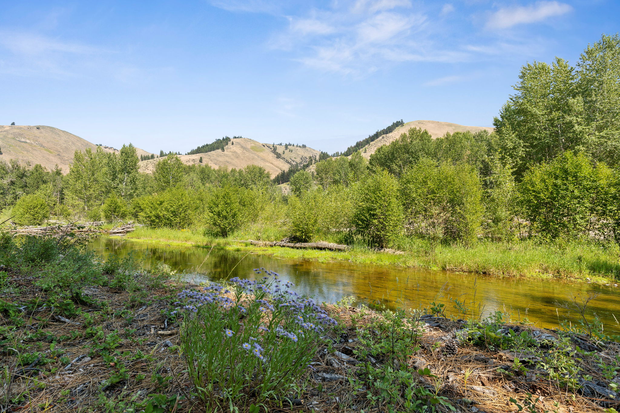 2848 E Gorus Loop Property Photo 69