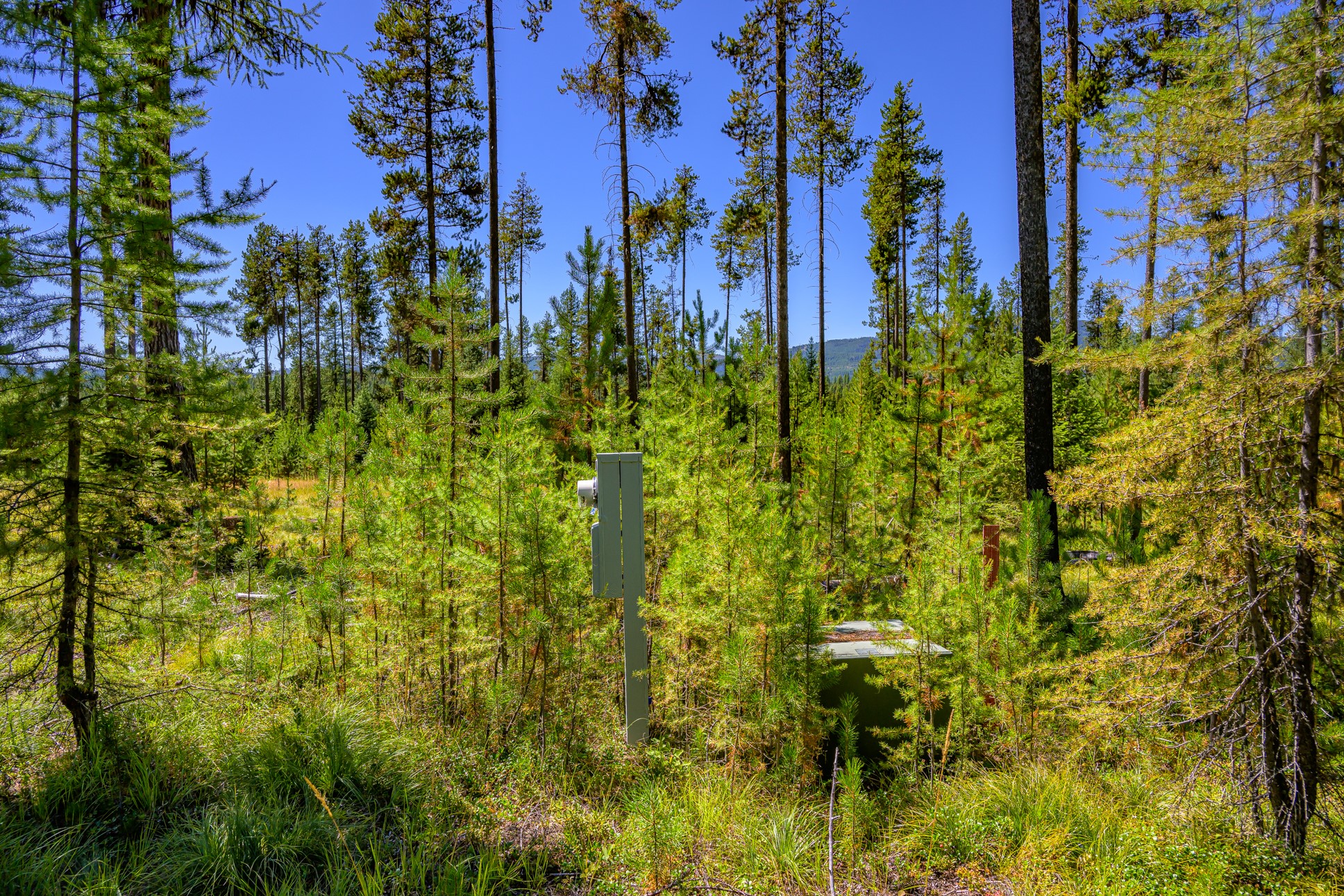 Nhn Route 83 Property Photo 6