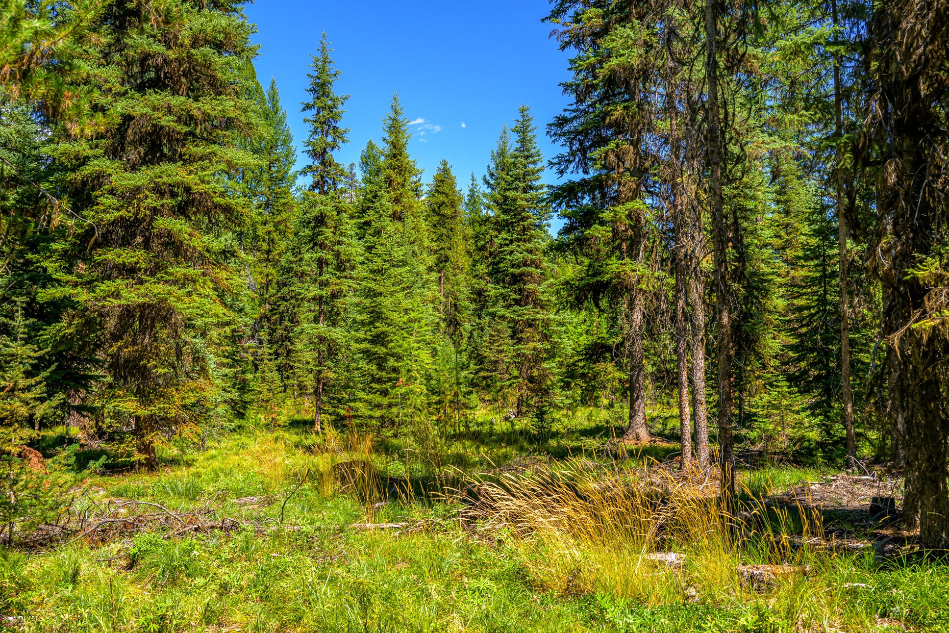 Nhn Route 83 Property Photo 7