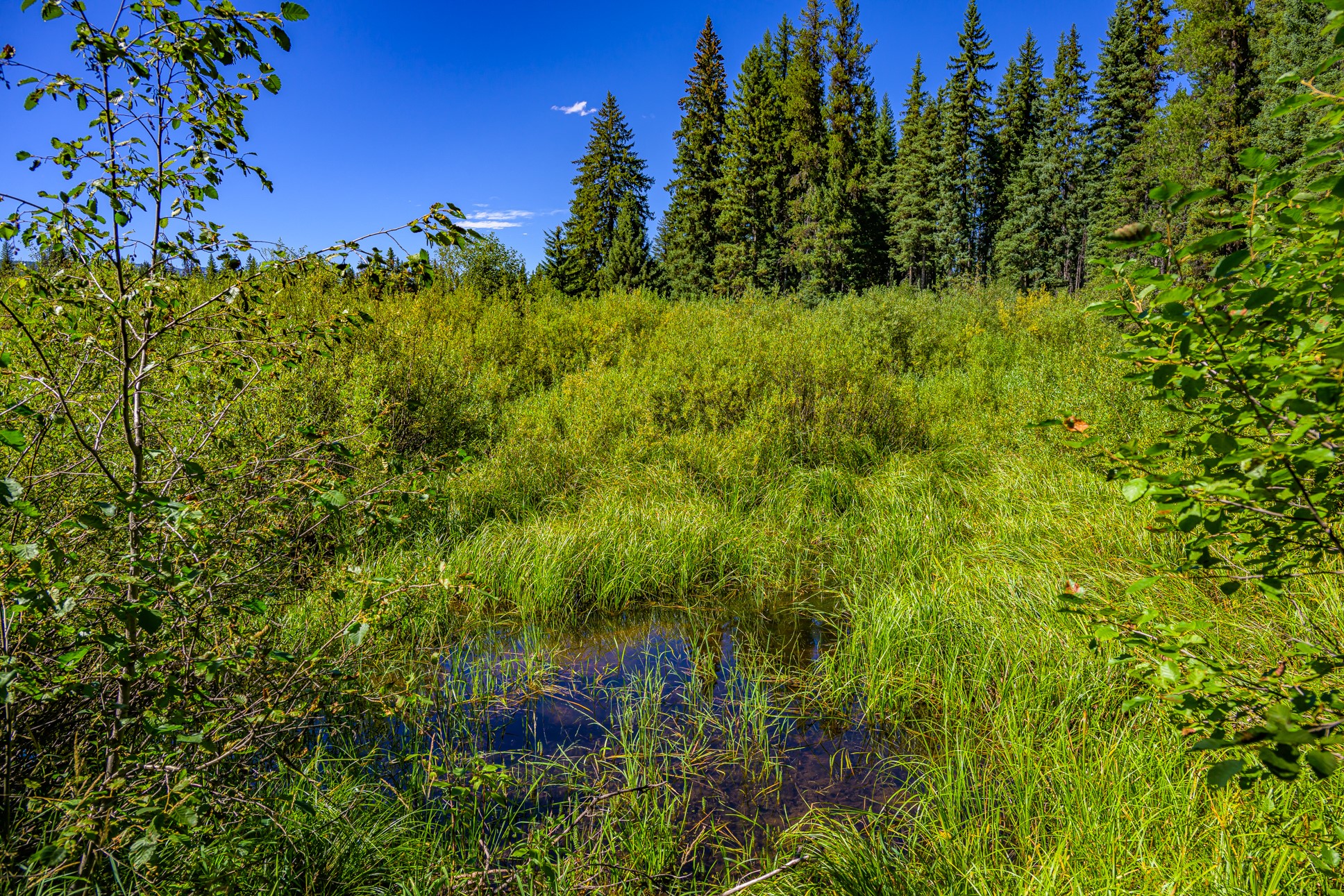 Nhn Route 83 Property Photo 14