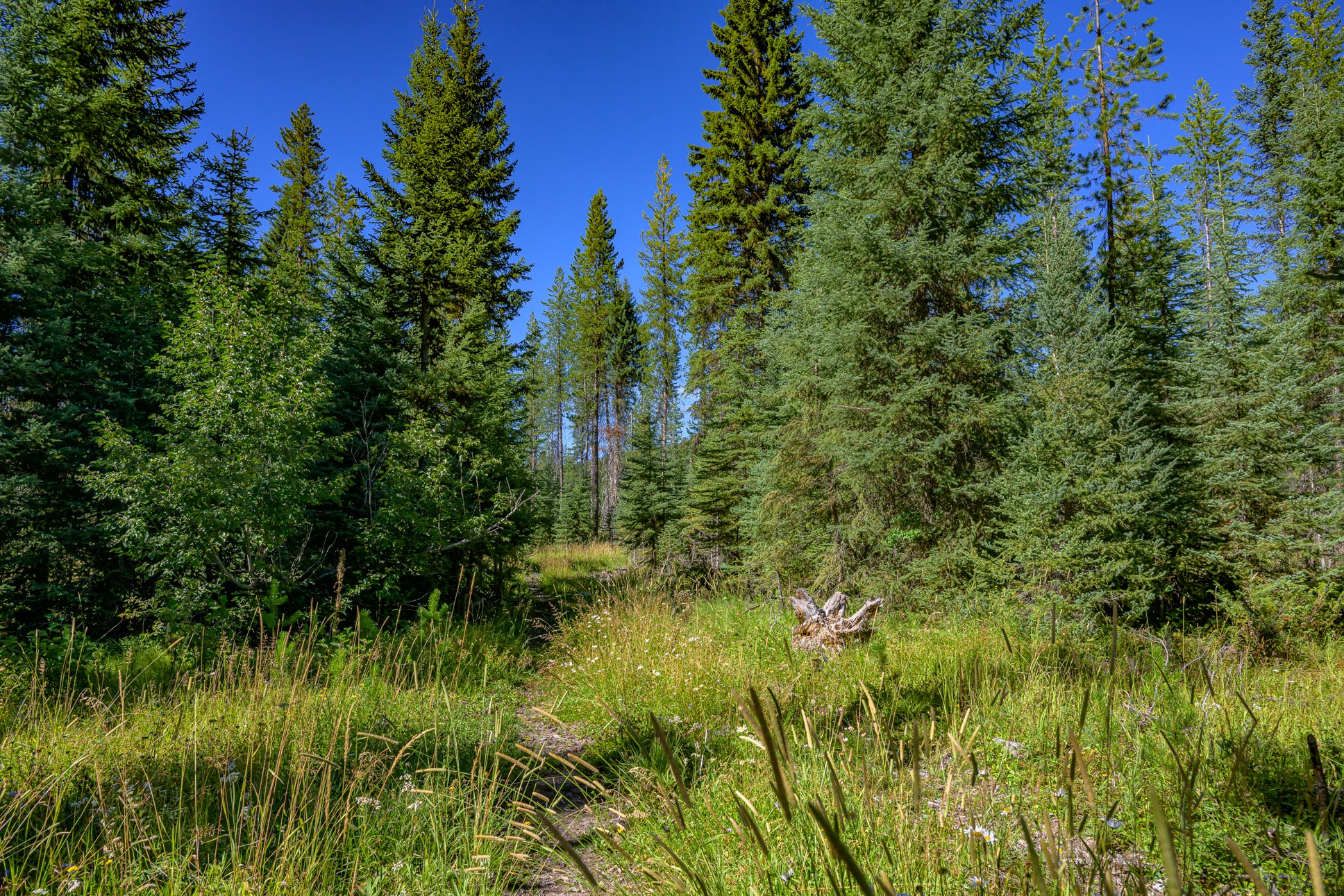Nhn Route 83 Property Photo 17