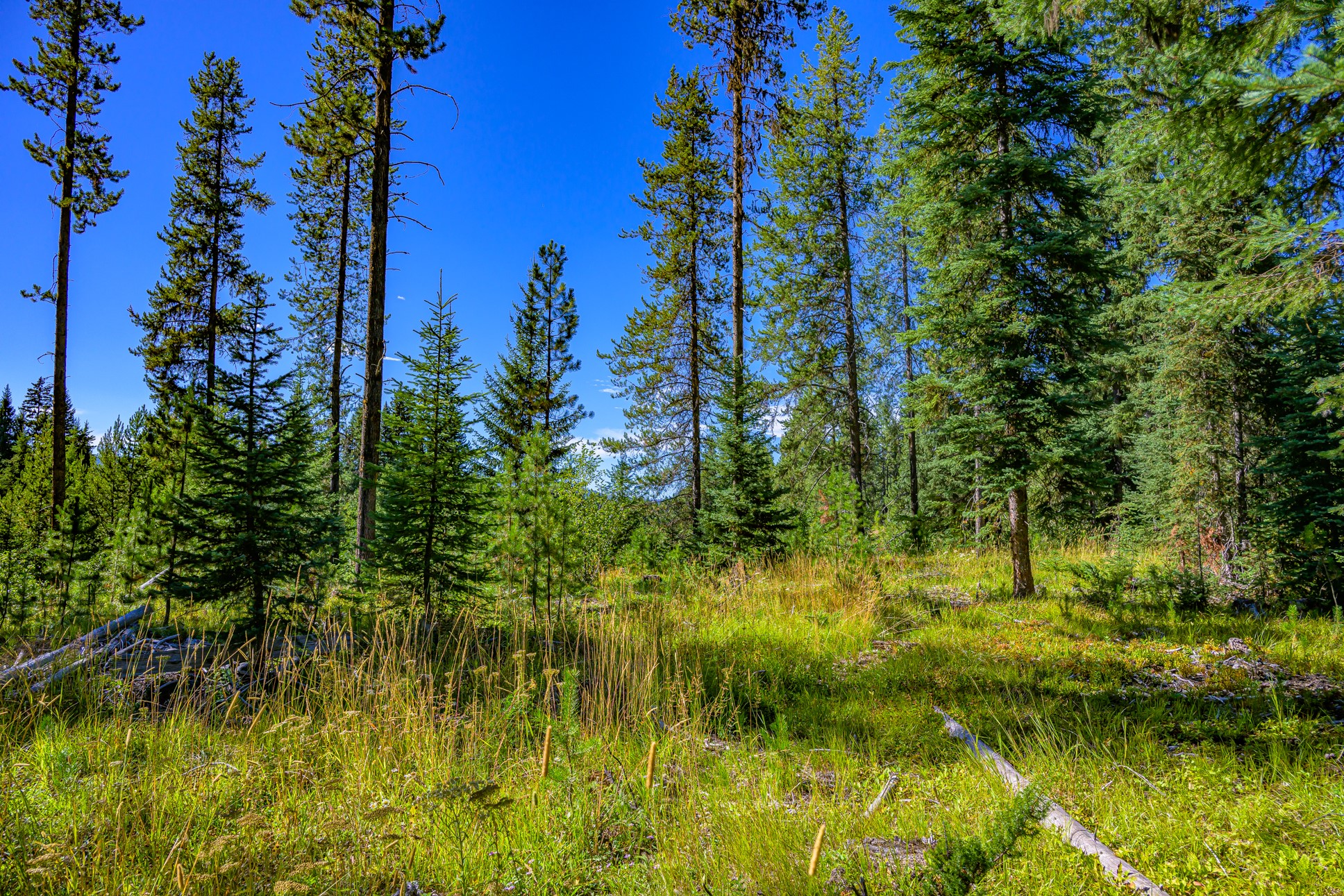 Nhn Route 83 Property Photo 22