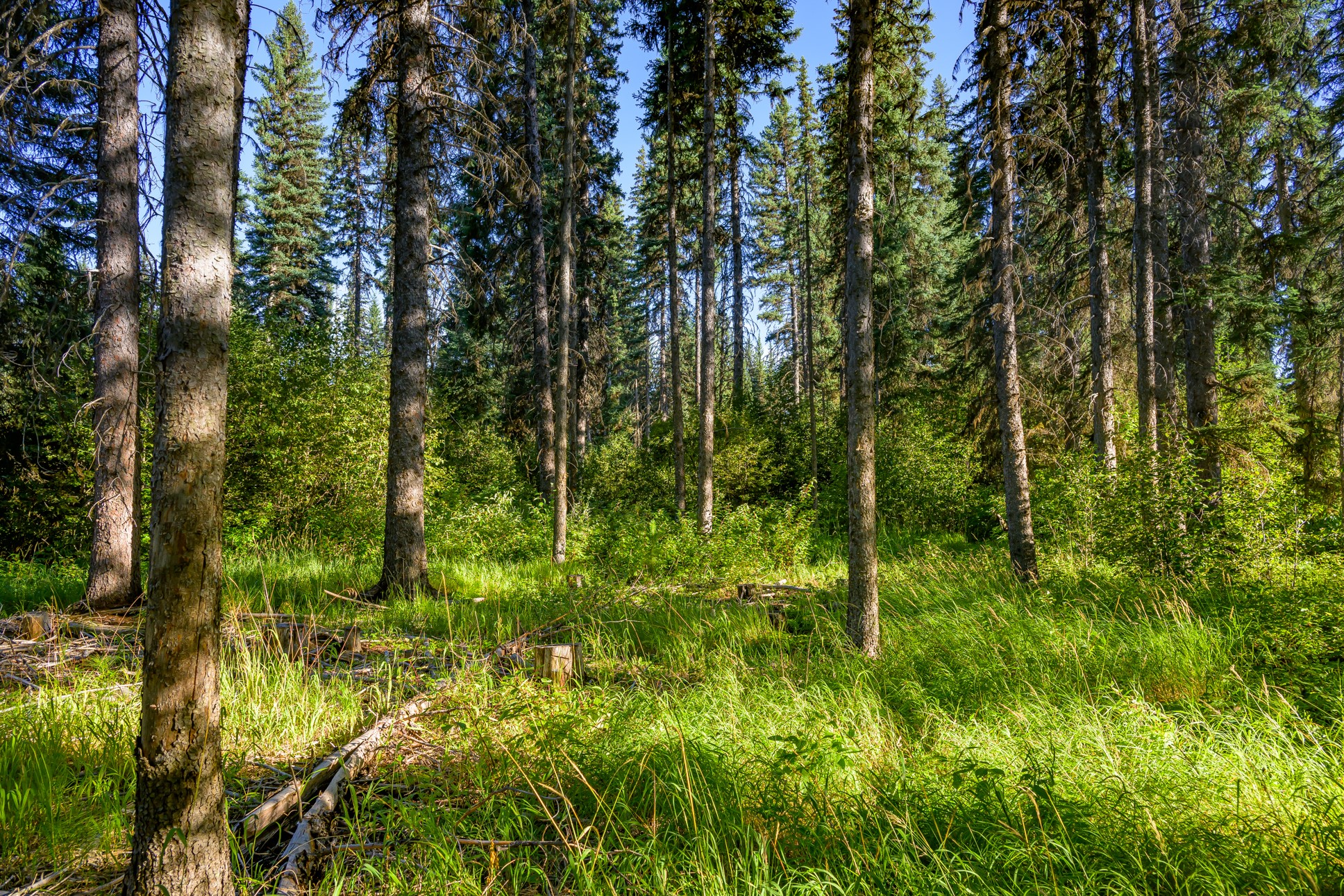 Nhn Route 83 Property Photo 23