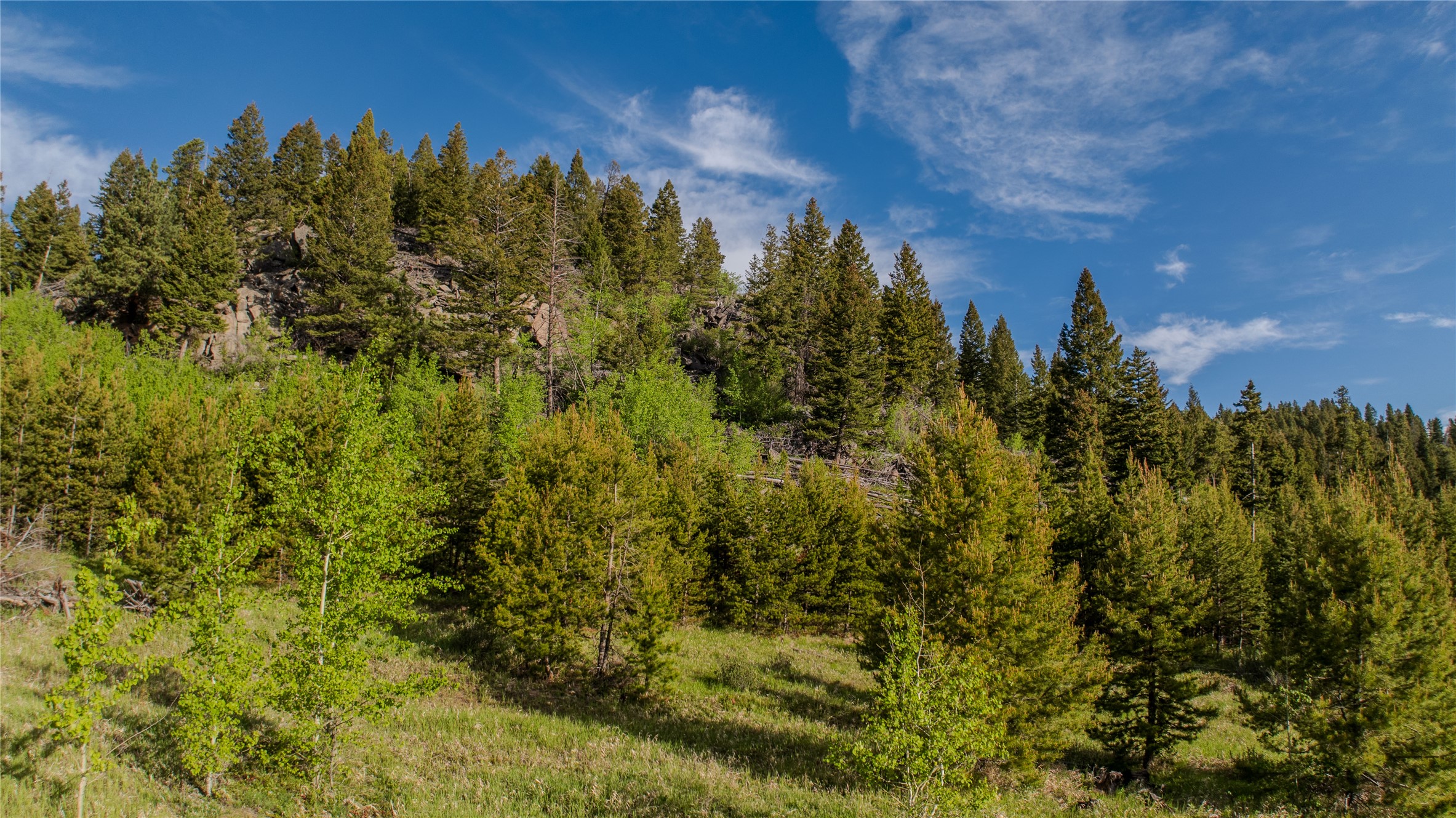 72 Big Indian Gulch Road Property Photo 5