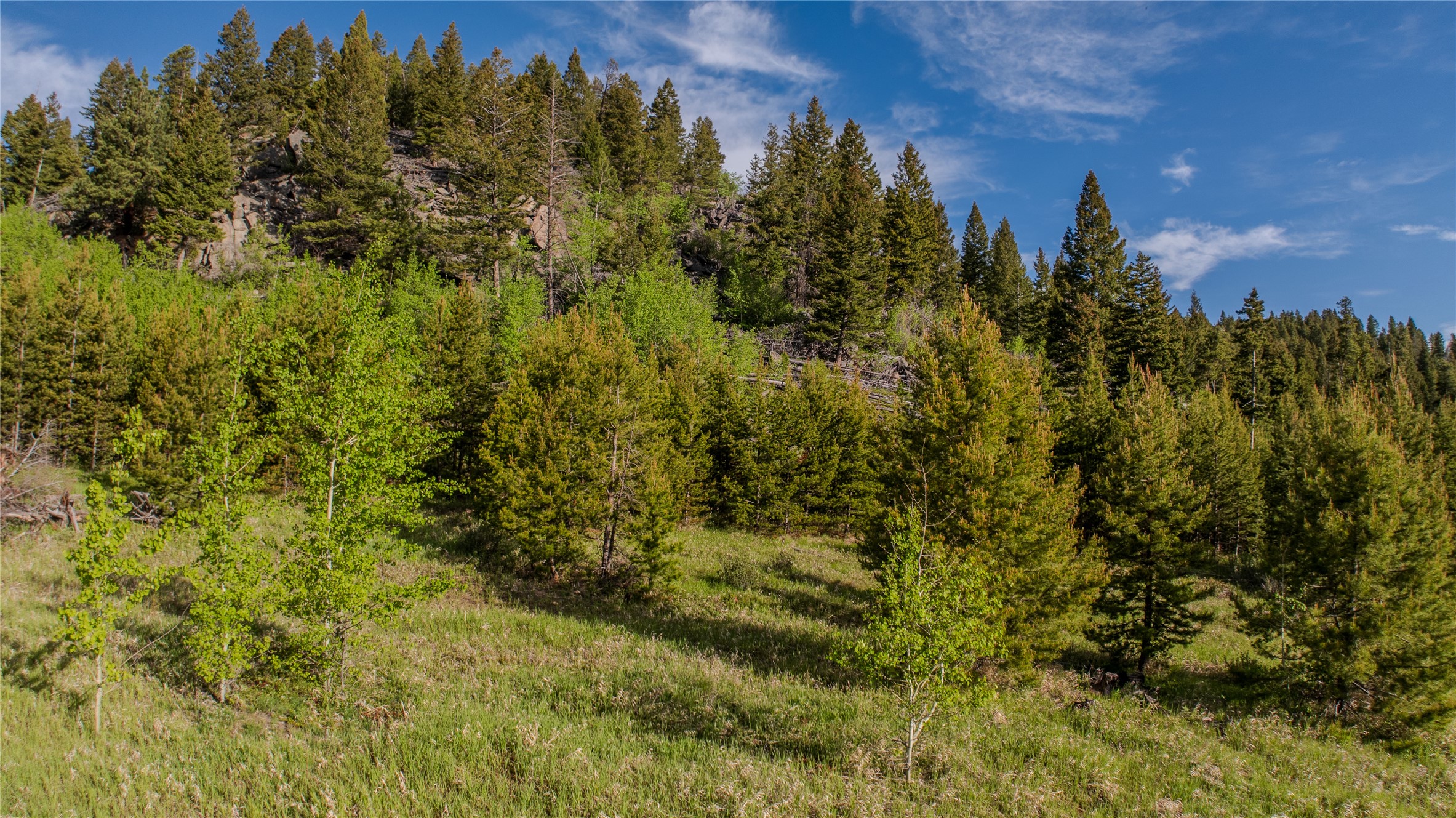 72 Big Indian Gulch Road Property Photo 16