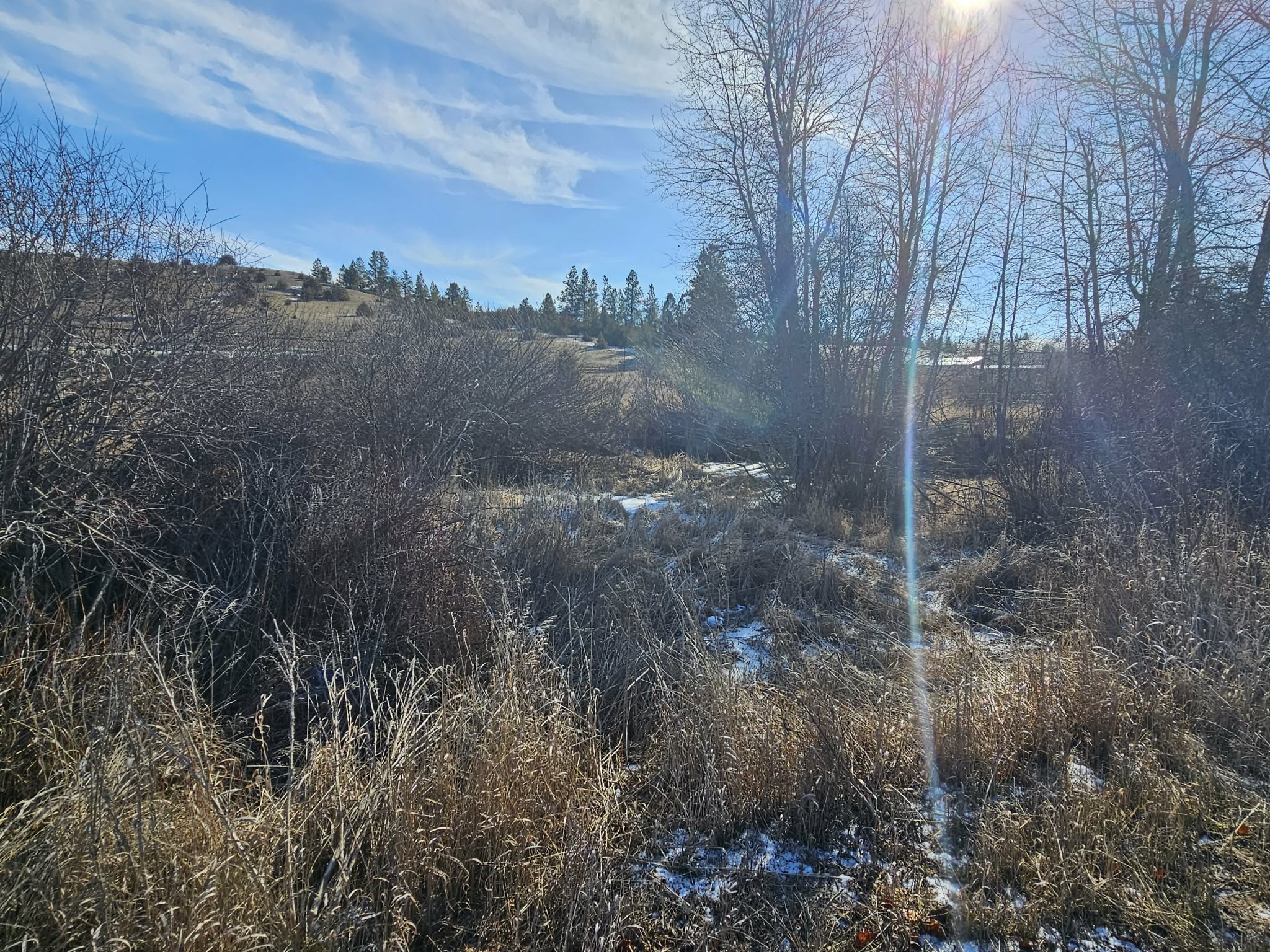 198 N Mullan Trail Road Property Photo 21