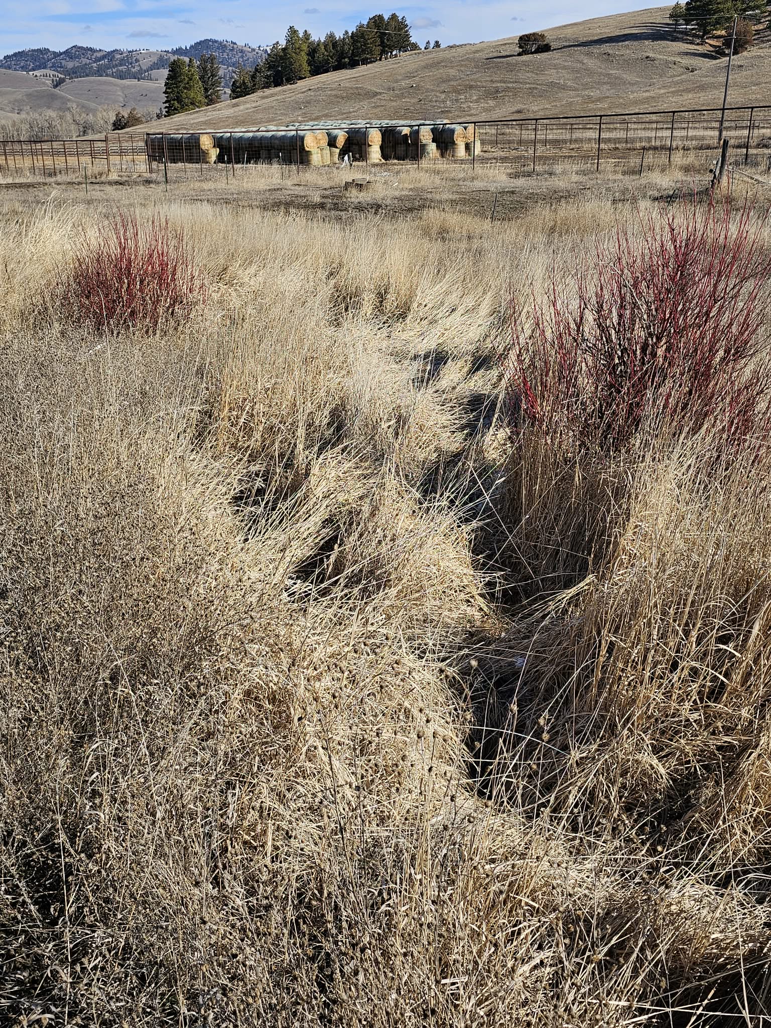 198 N Mullan Trail Road Property Photo 23