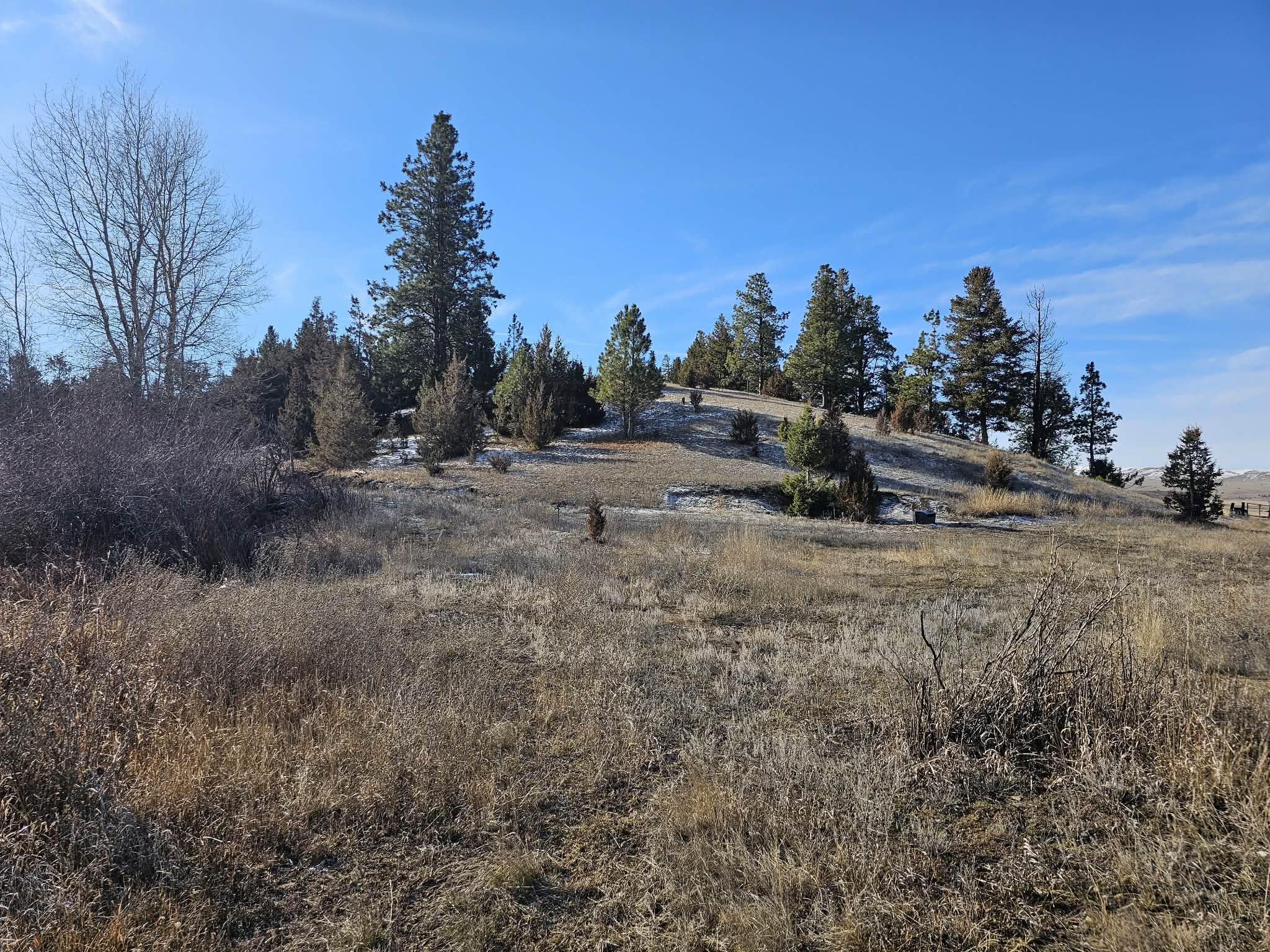 198 N Mullan Trail Road Property Photo 27