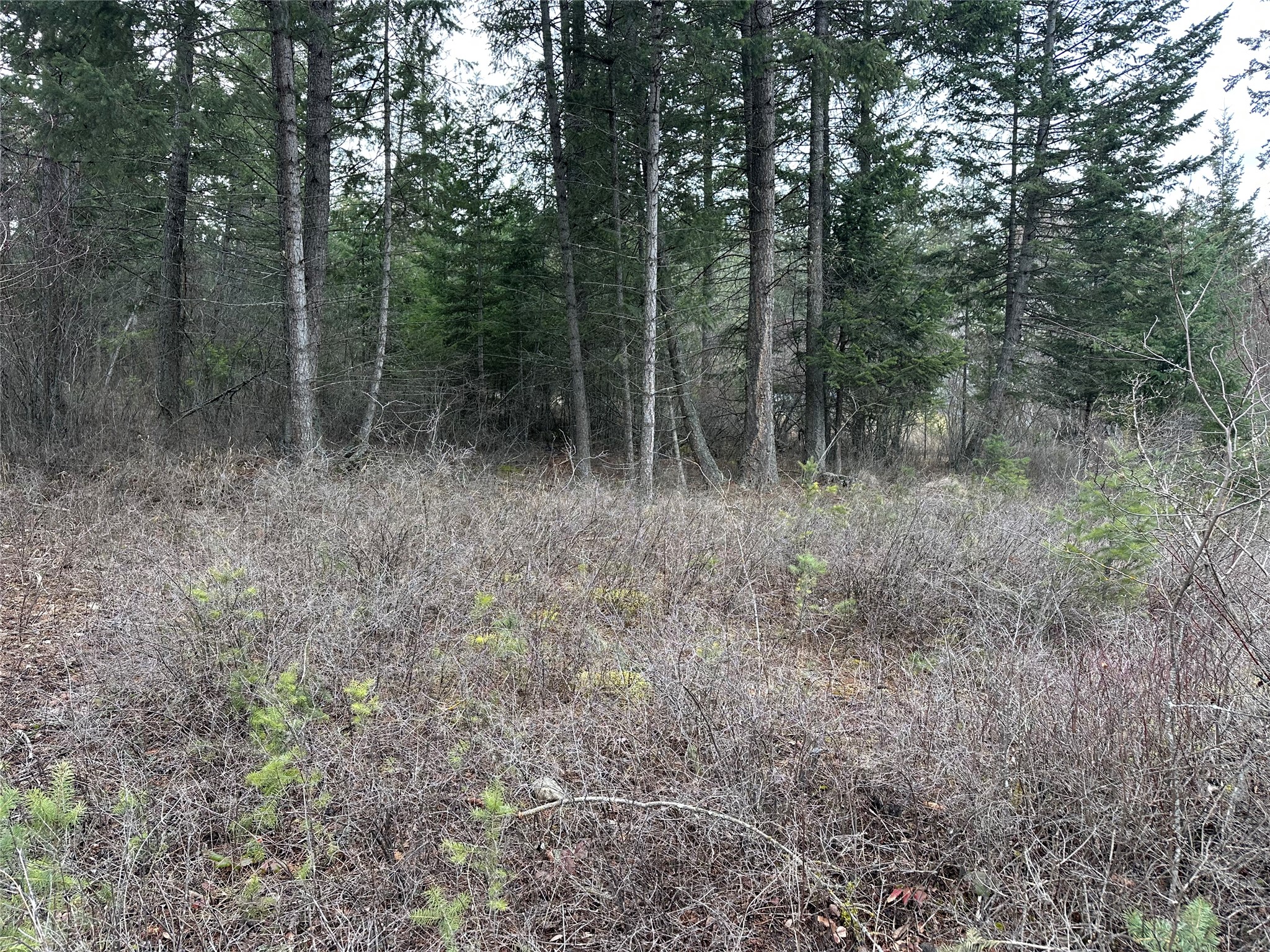 66 Angel Point Road Property Photo 34