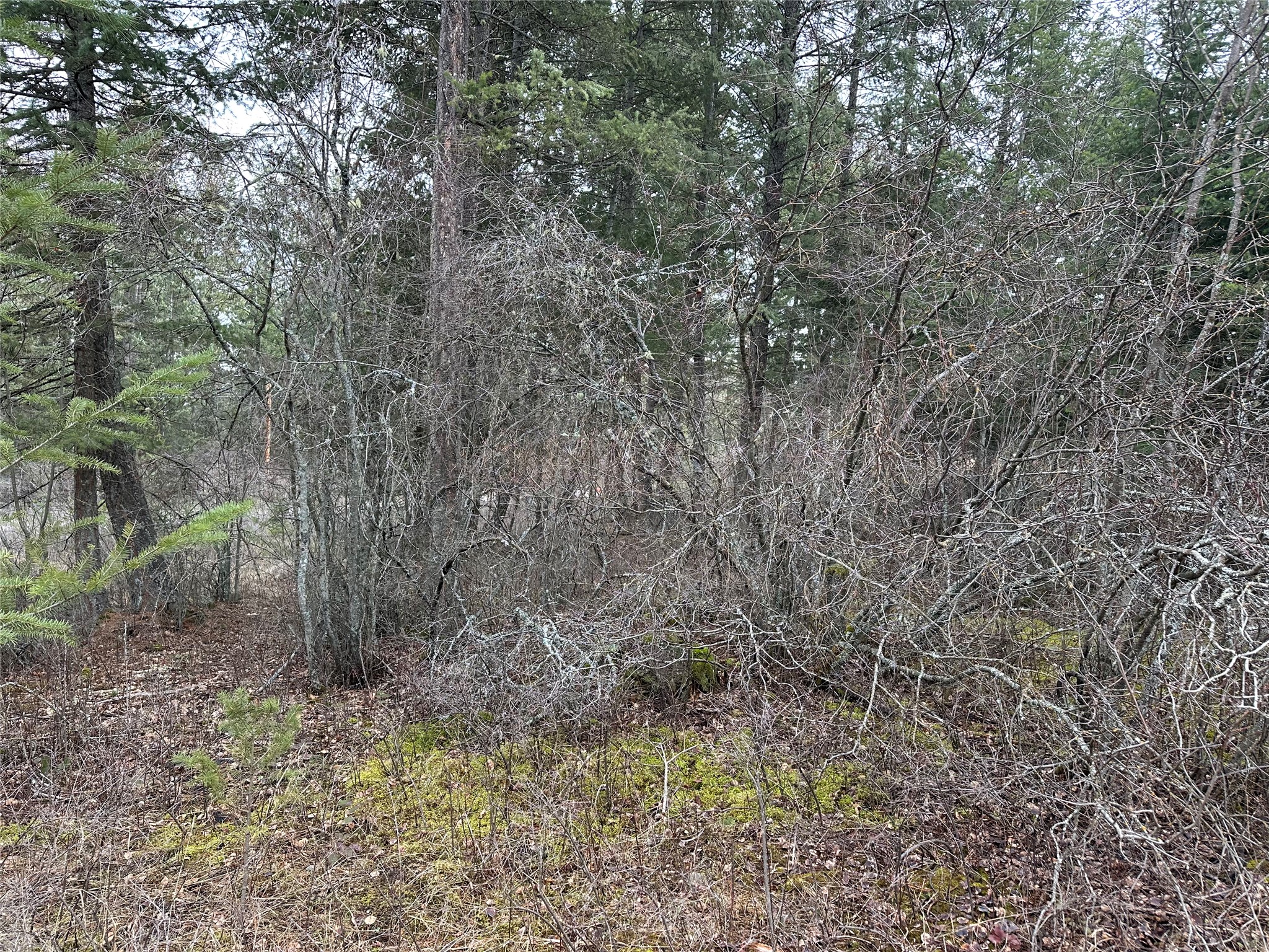 66 Angel Point Road Property Photo 35