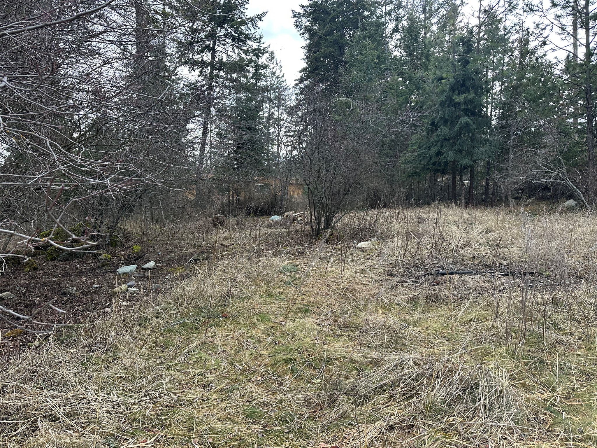 66 Angel Point Road Property Photo 37