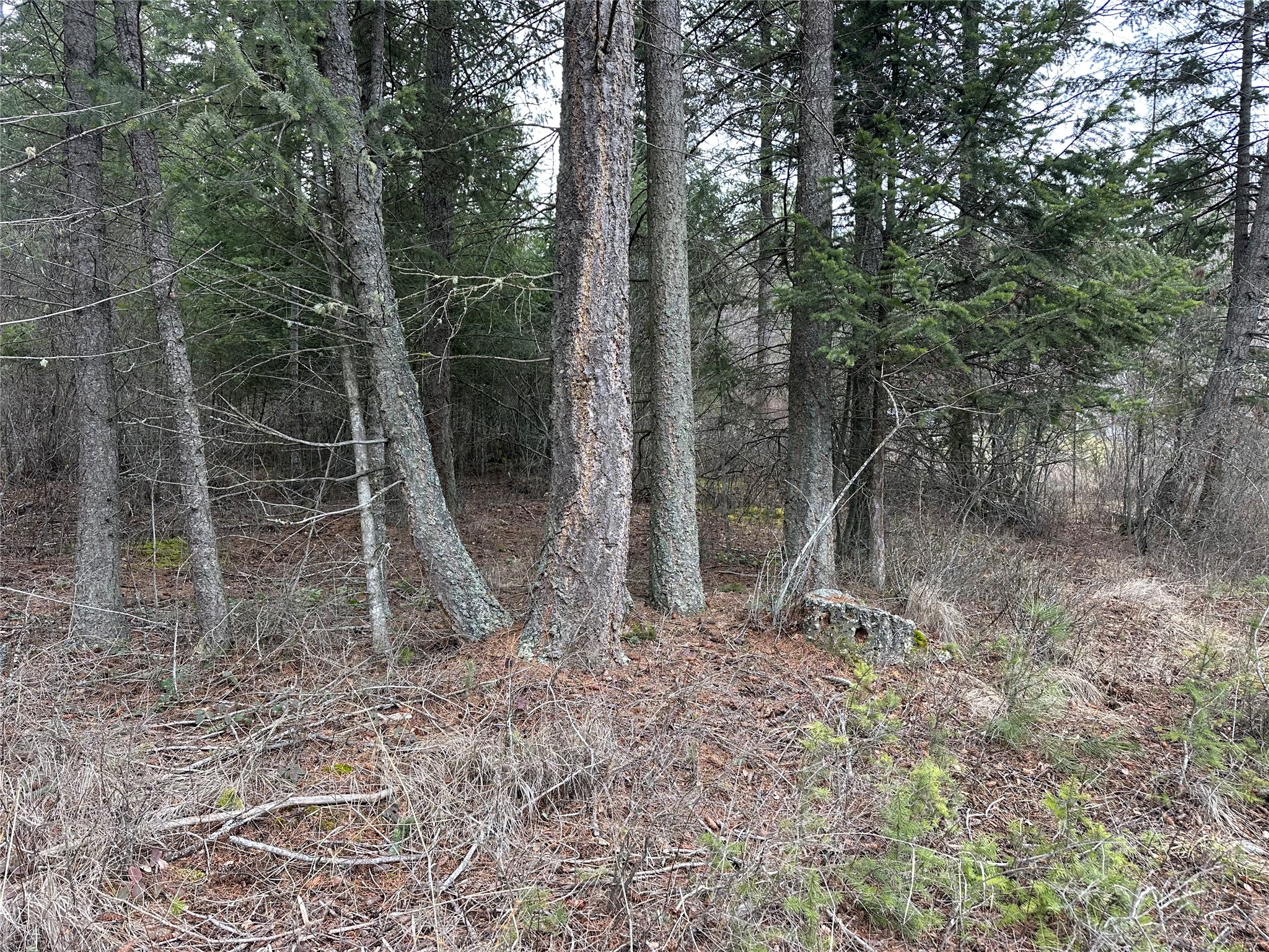 66 Angel Point Road Property Photo 38