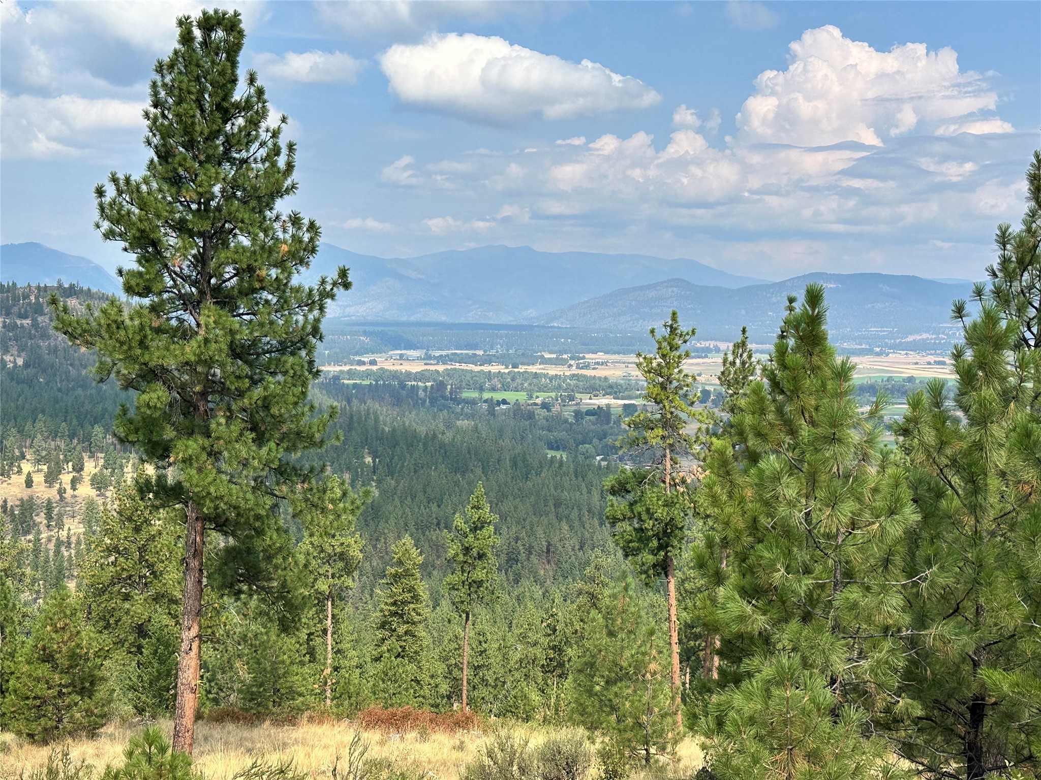 36 Bighorn Bluff Loop Property Photo 1