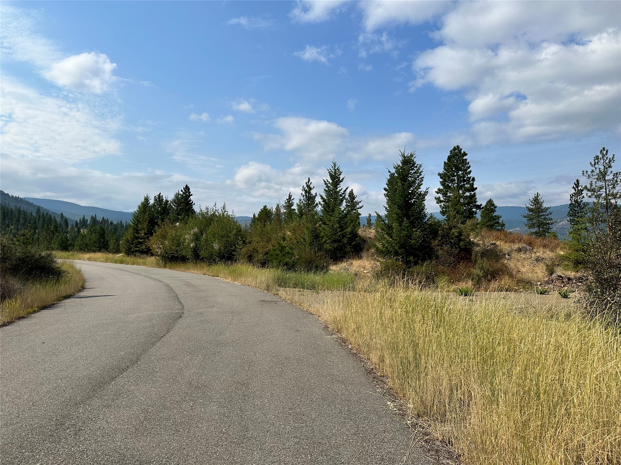 36 Bighorn Bluff Loop Property Photo 3