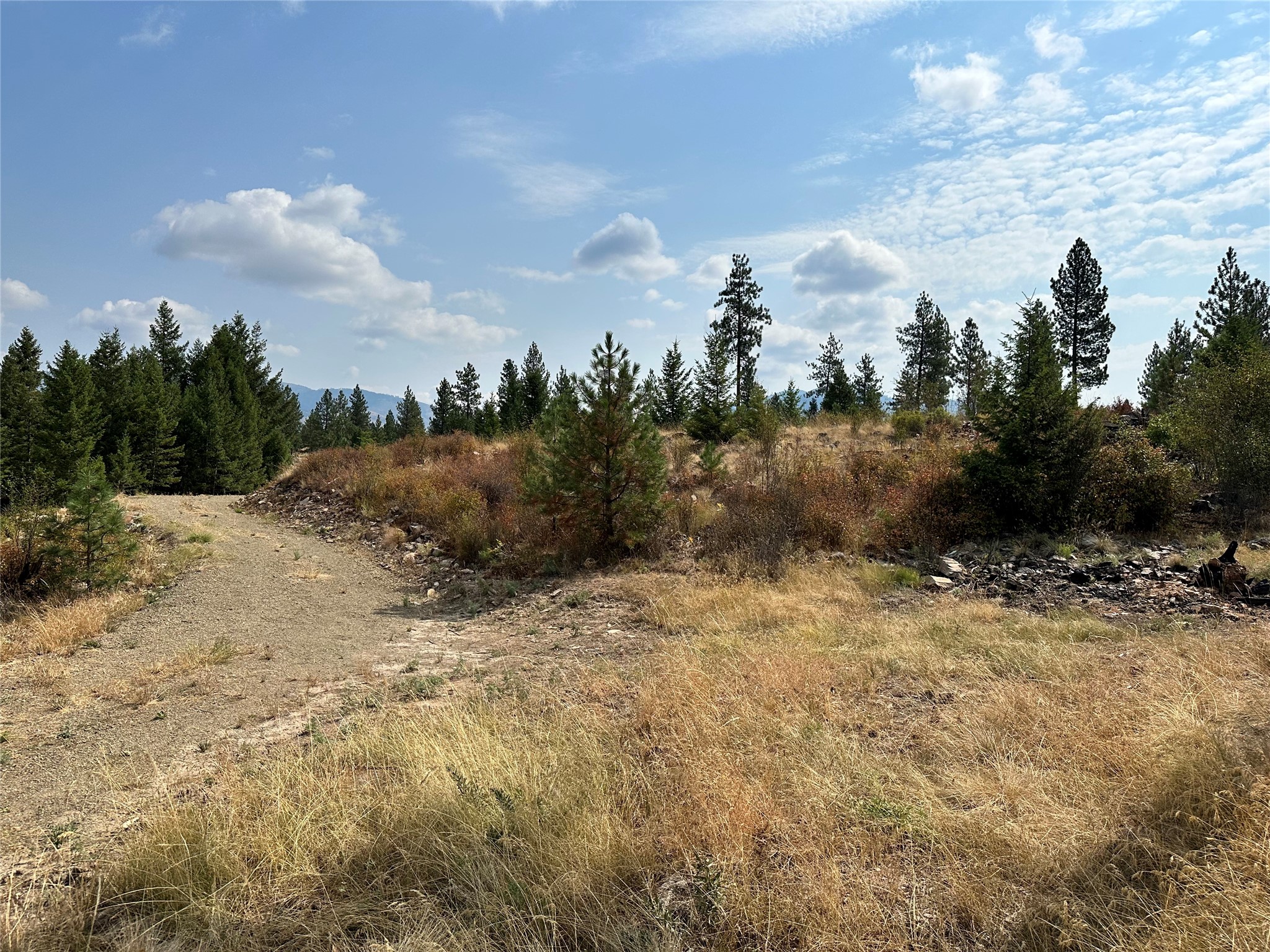 36 Bighorn Bluff Loop Property Photo 4