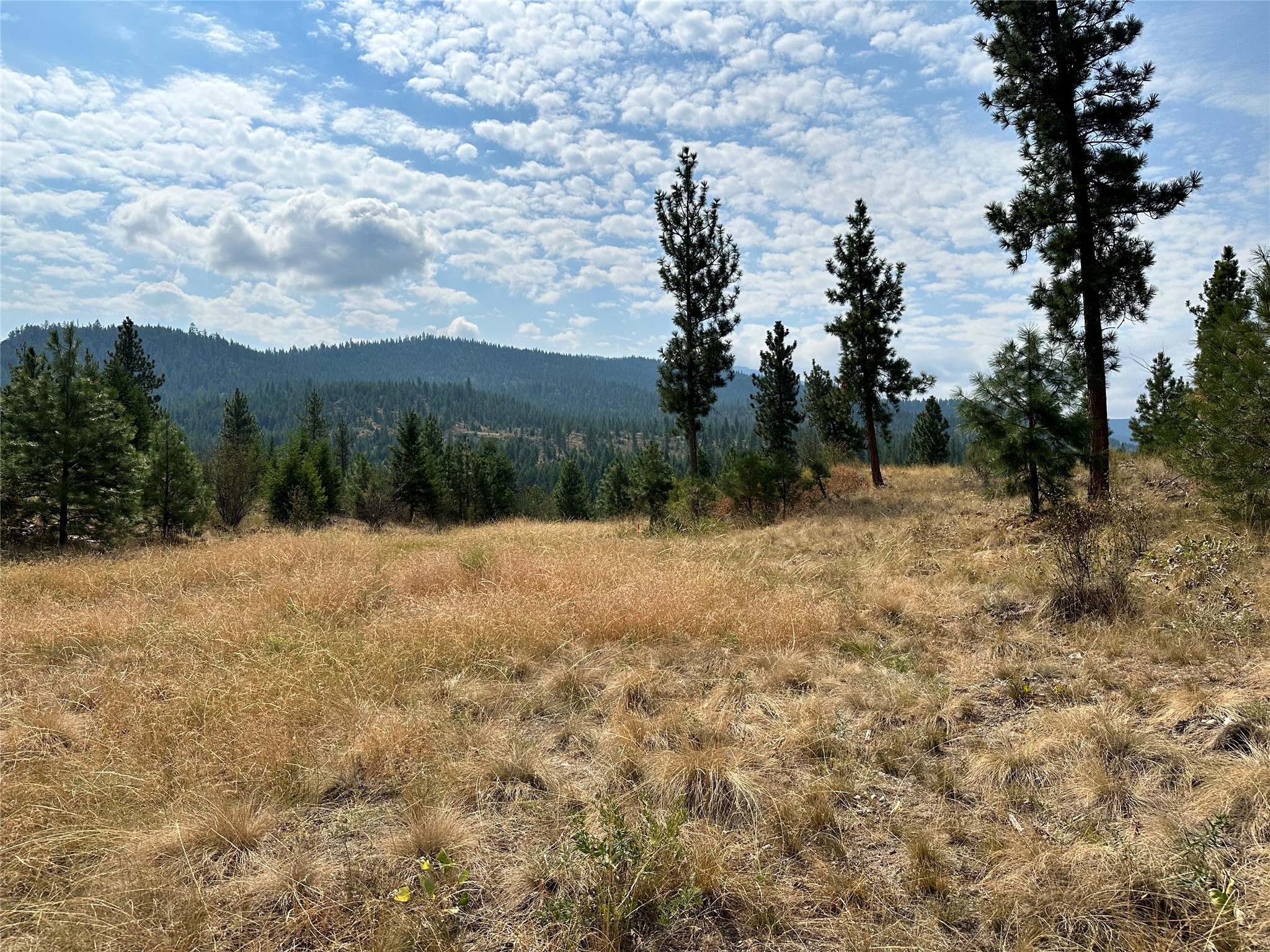36 Bighorn Bluff Loop Property Photo 5