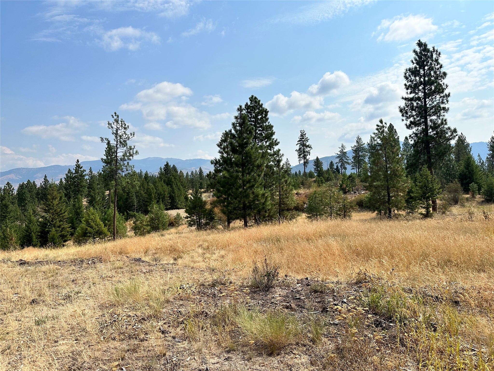 36 Bighorn Bluff Loop Property Photo 6