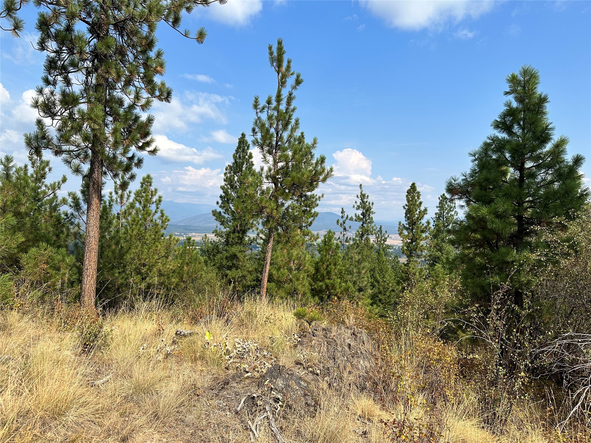 36 Bighorn Bluff Loop Property Photo 9