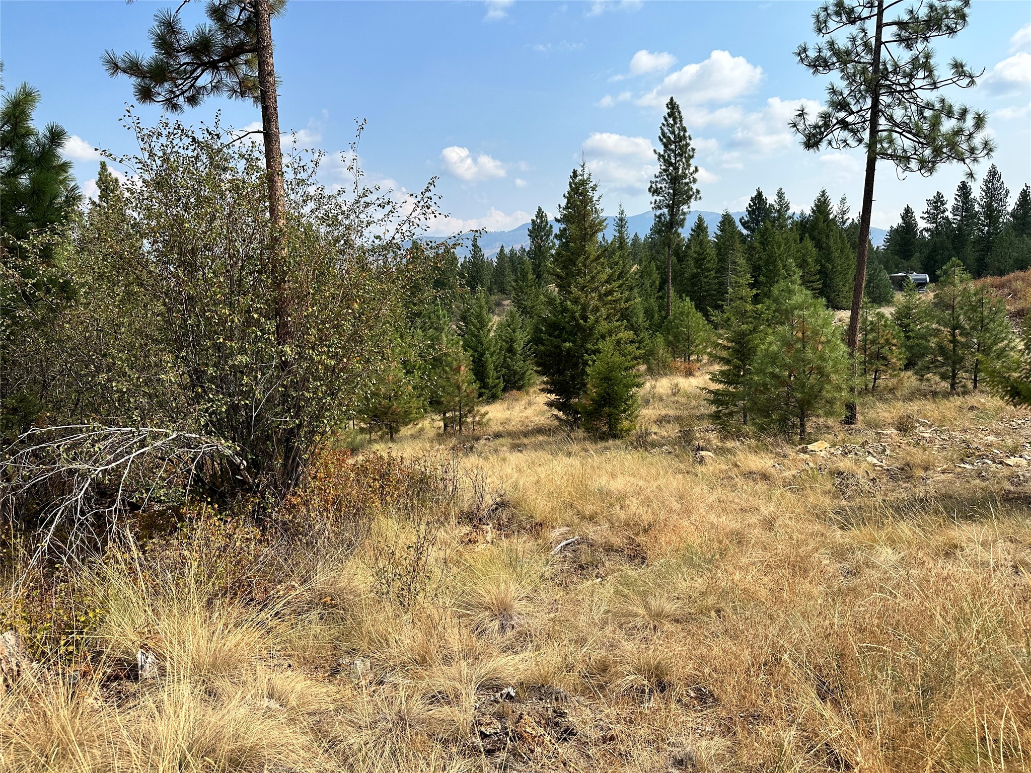36 Bighorn Bluff Loop Property Photo 10