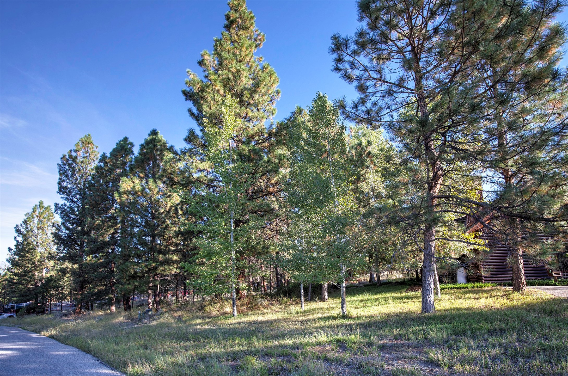 695 Pallo Trail Property Photo 7
