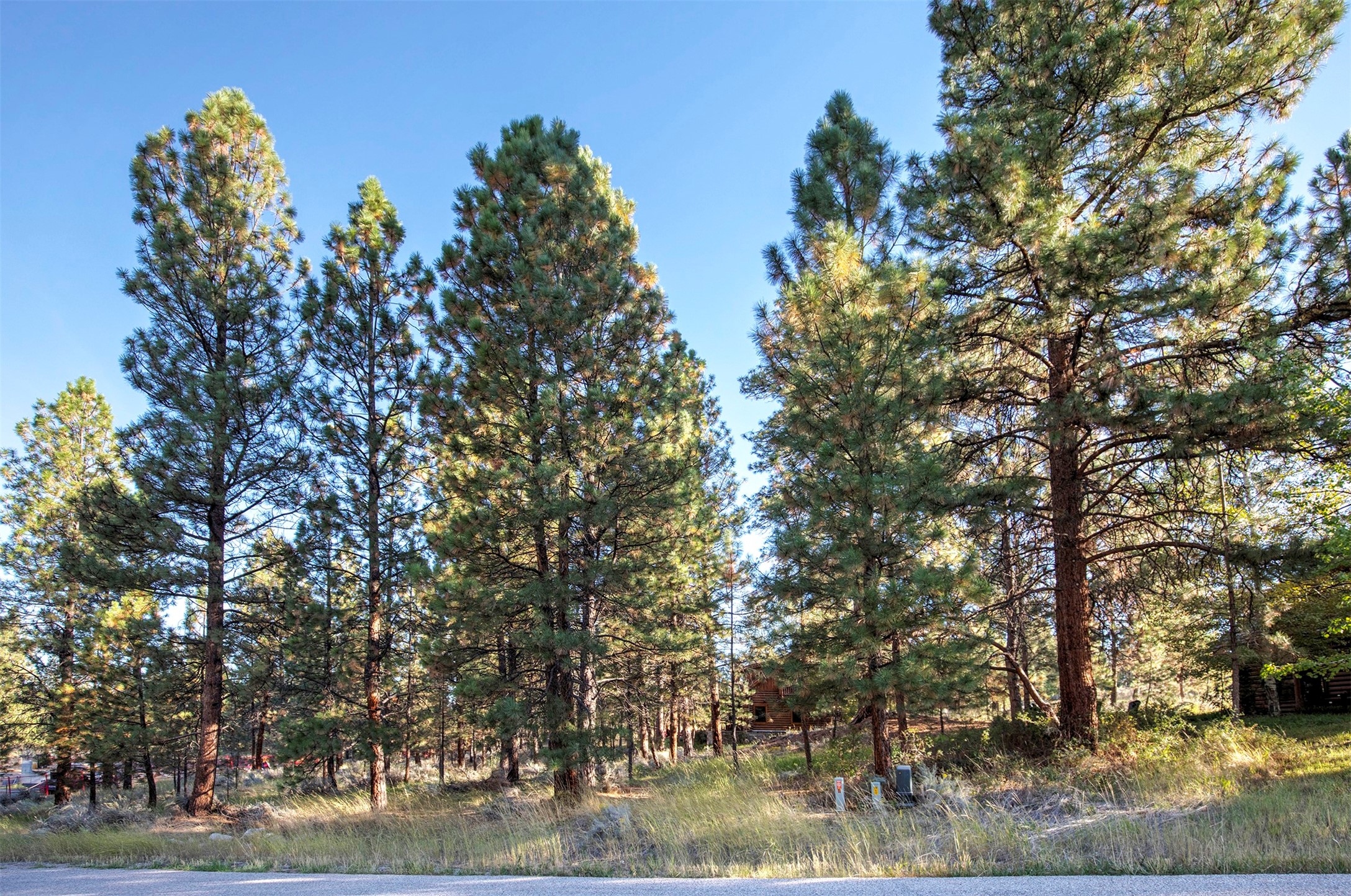 695 Pallo Trail Property Photo 8