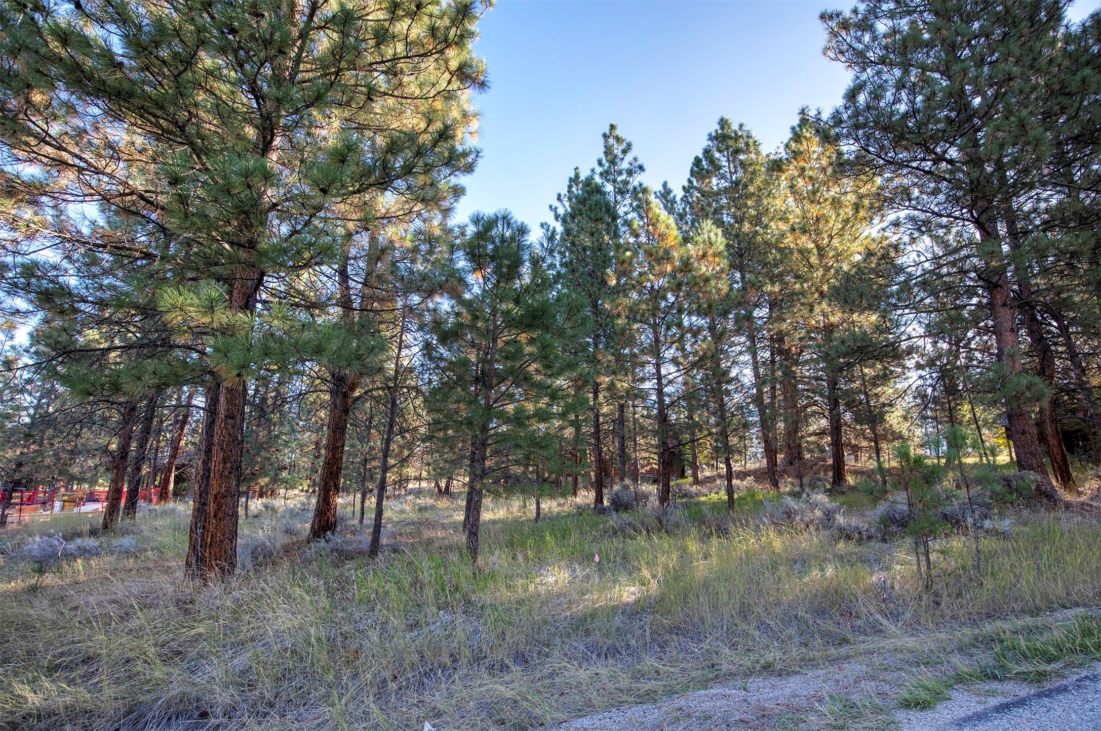 695 Pallo Trail Property Photo 10