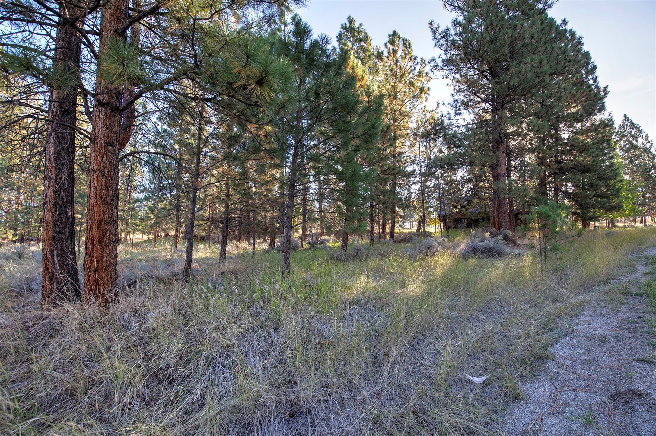 695 Pallo Trail Property Photo 11