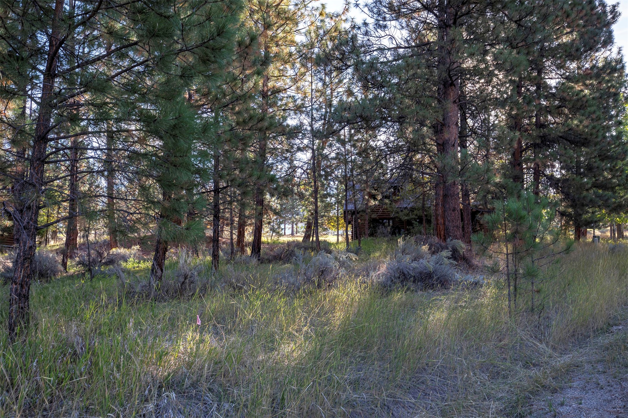 695 Pallo Trail Property Photo 12
