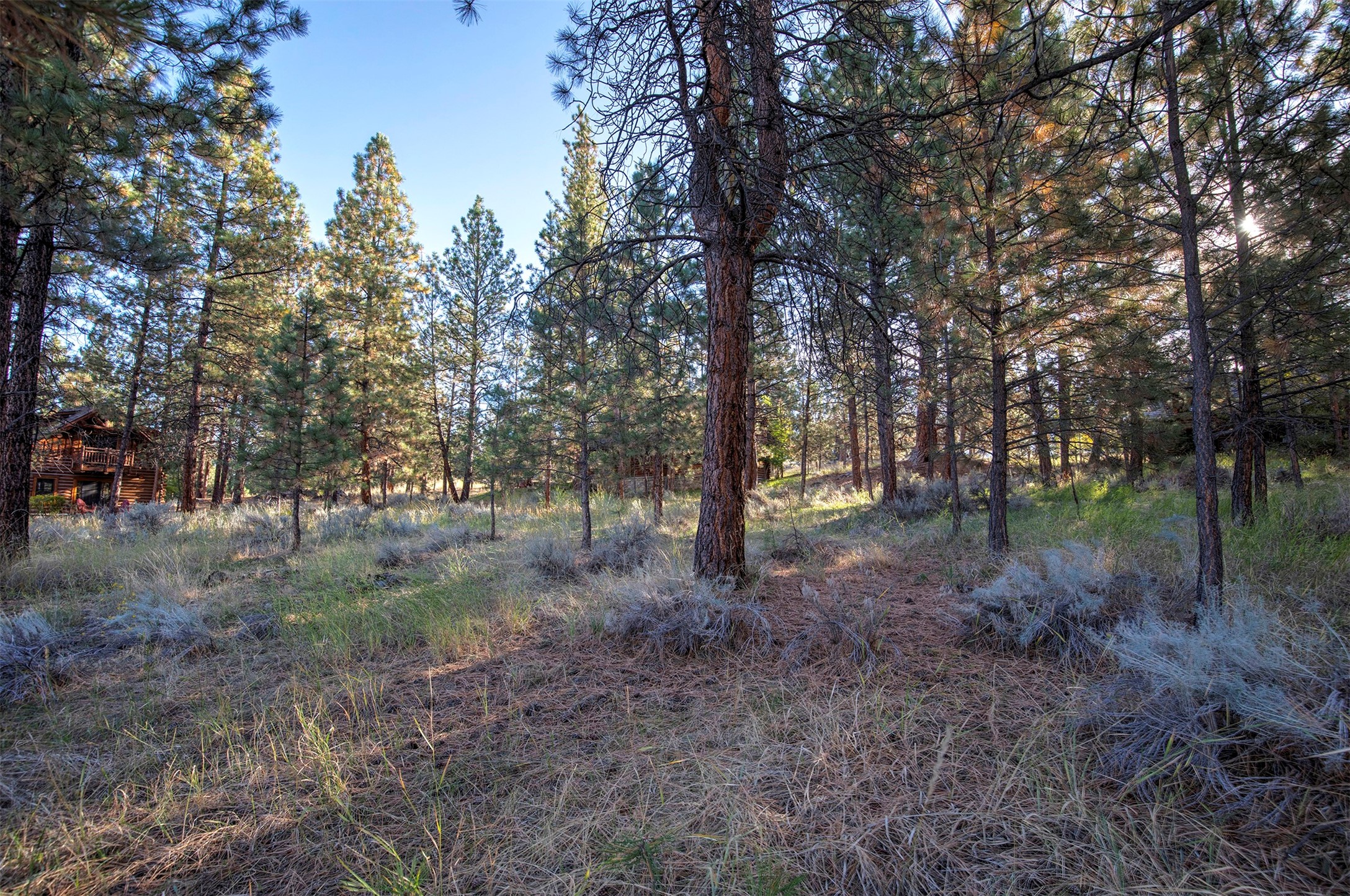 695 Pallo Trail Property Photo 13