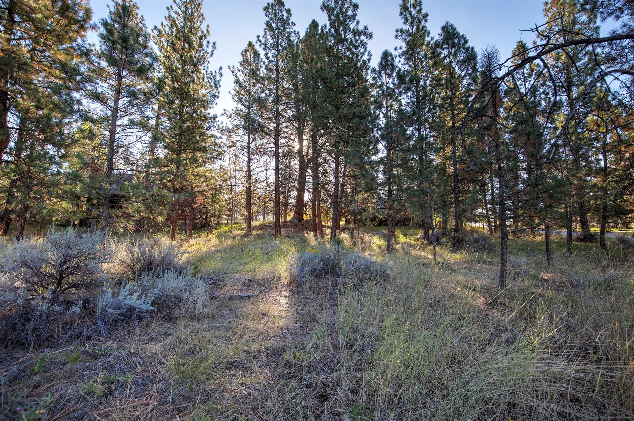 695 Pallo Trail Property Photo 14