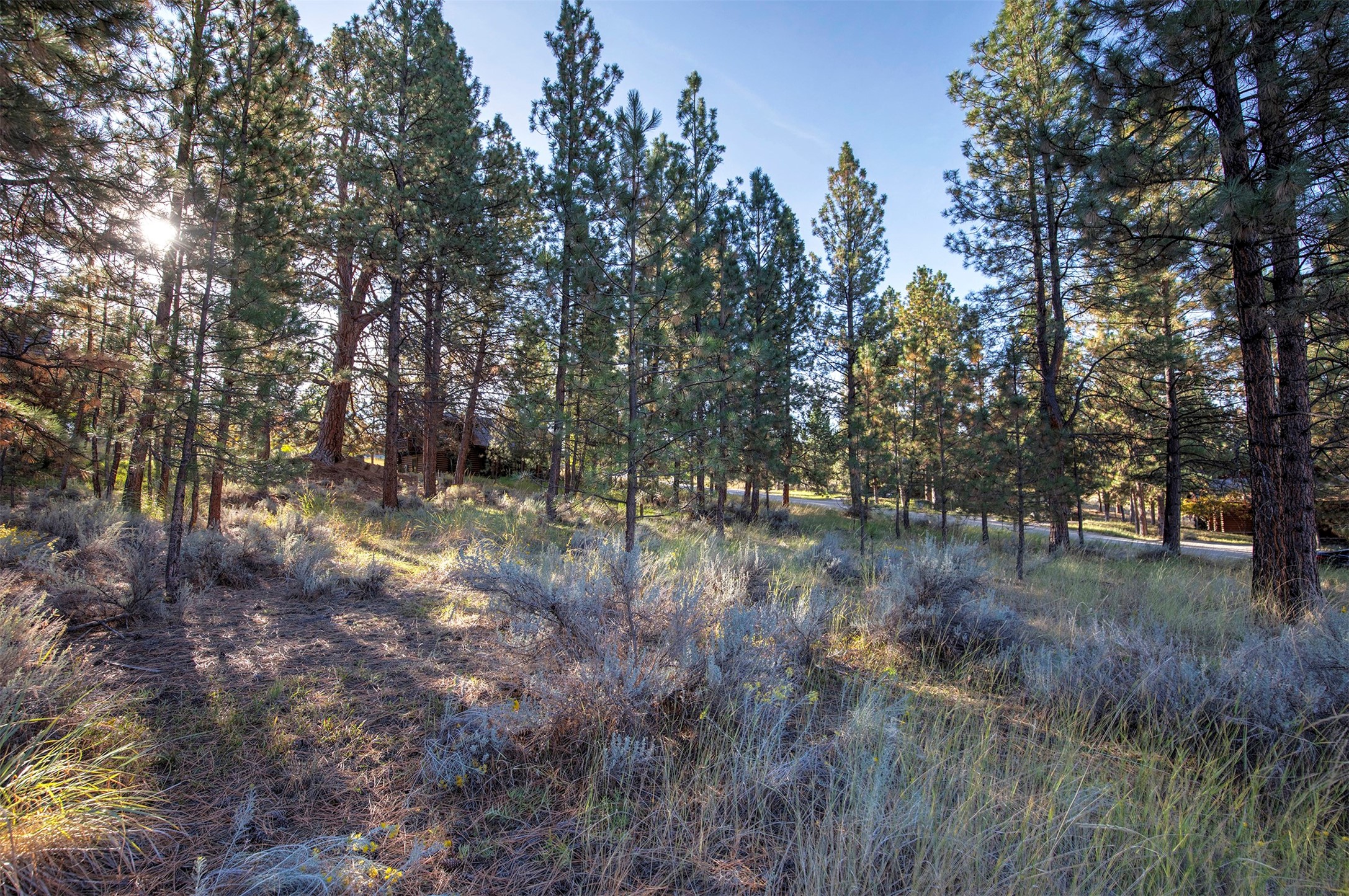 695 Pallo Trail Property Photo 15