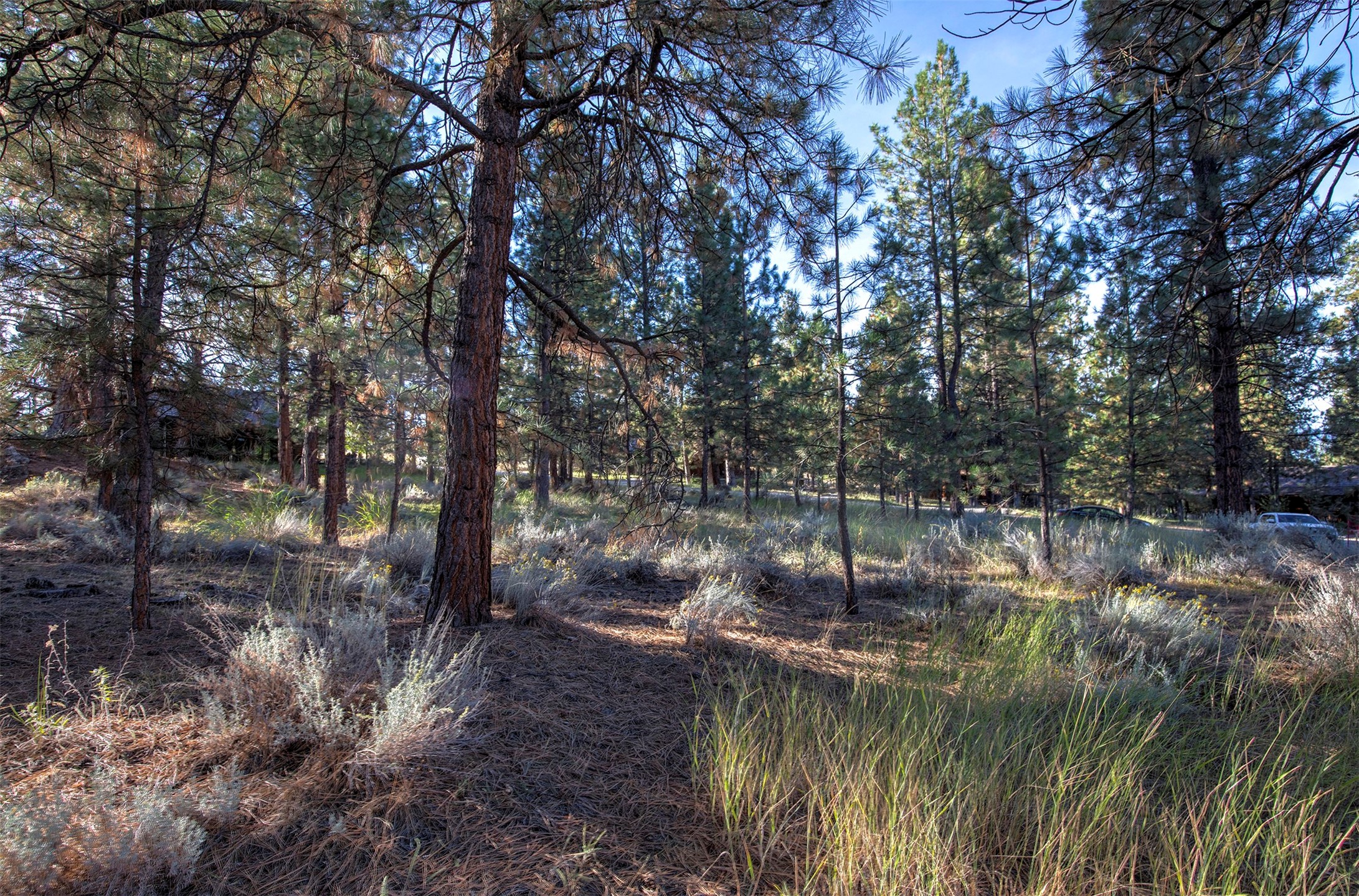 695 Pallo Trail Property Photo 16