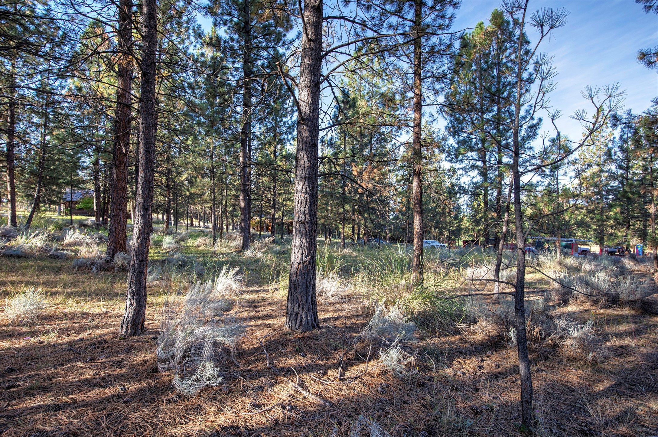 695 Pallo Trail Property Photo 17