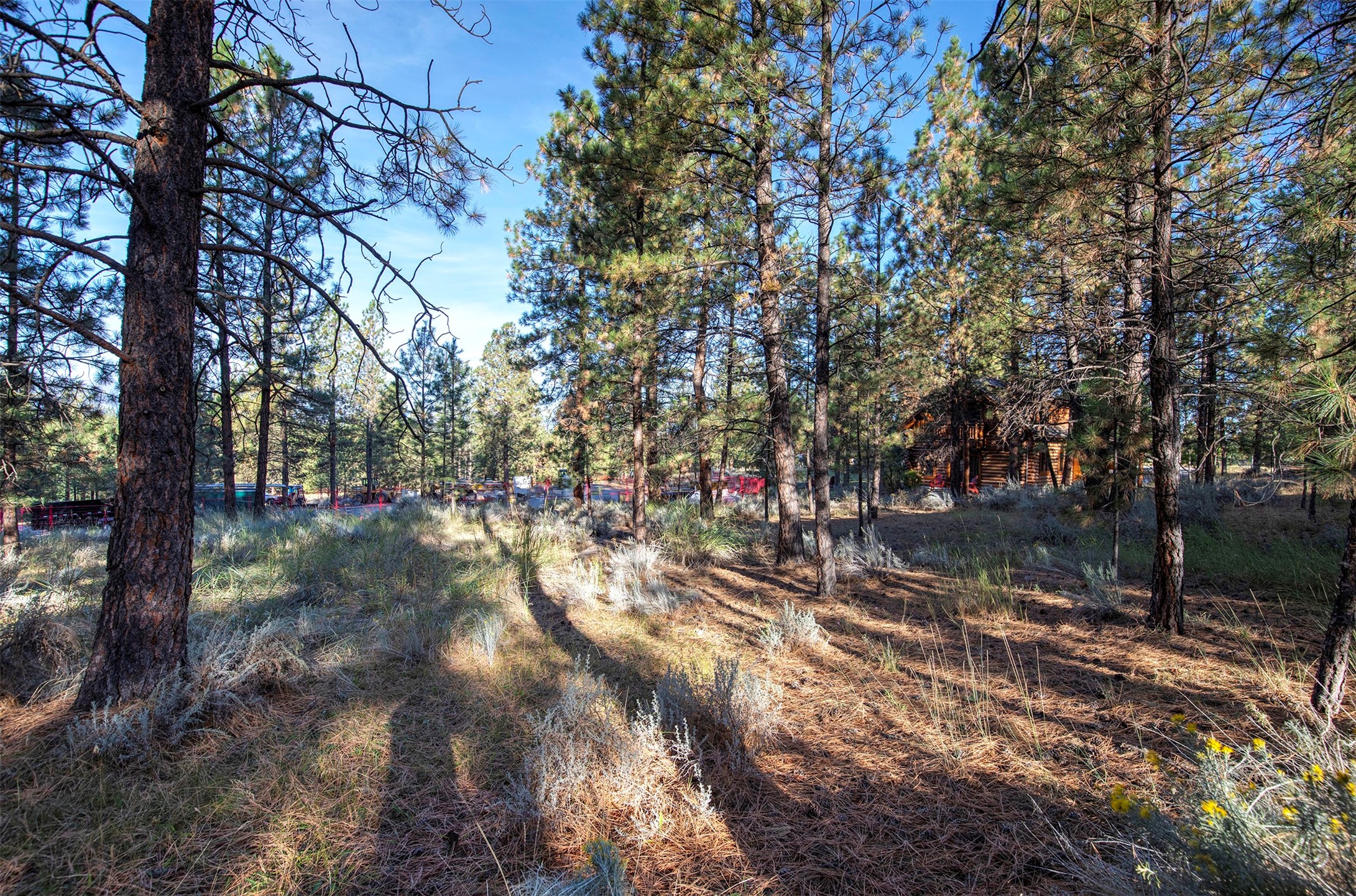 695 Pallo Trail Property Photo 18