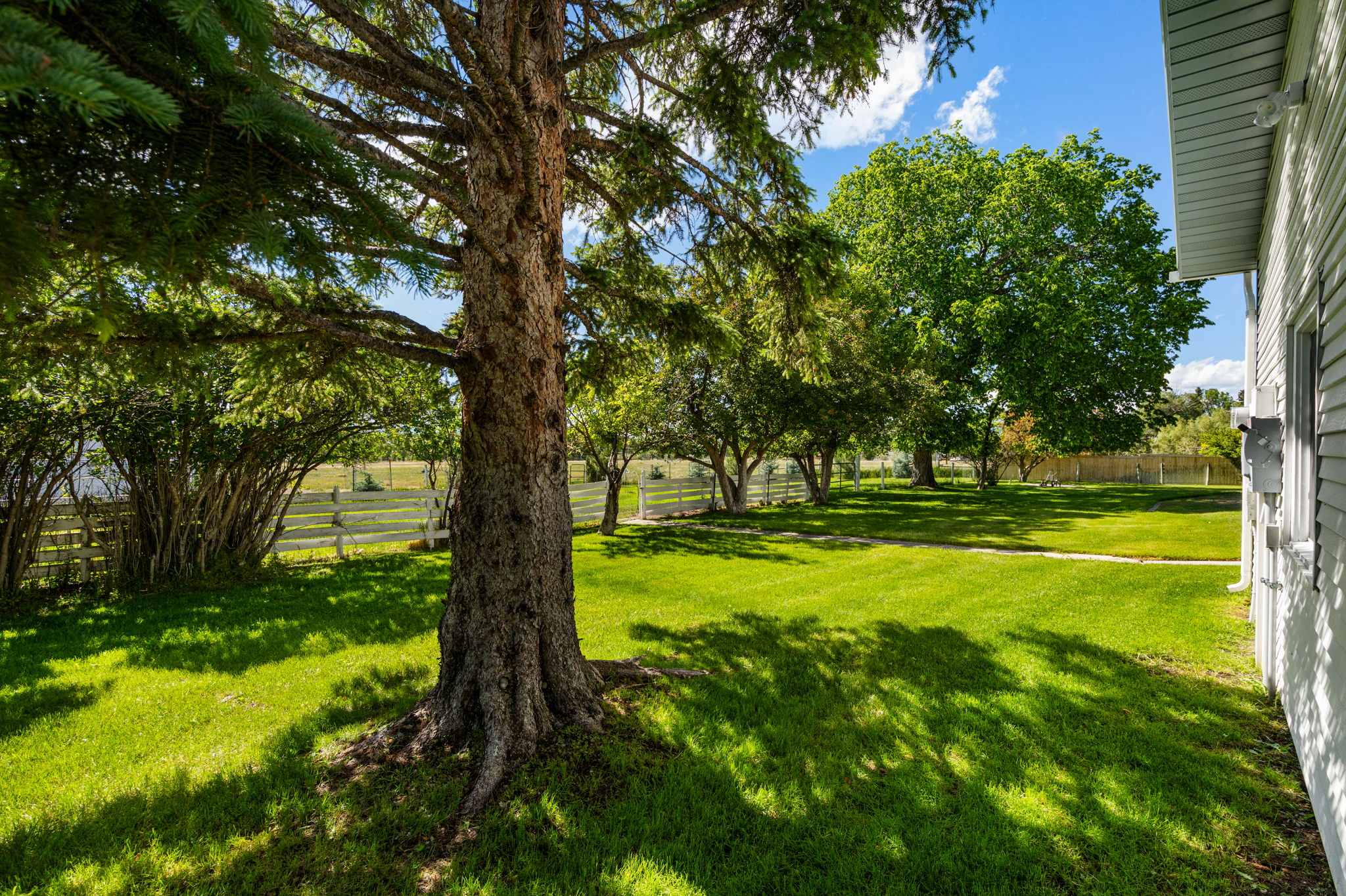 204 Boundary Street Property Photo 50