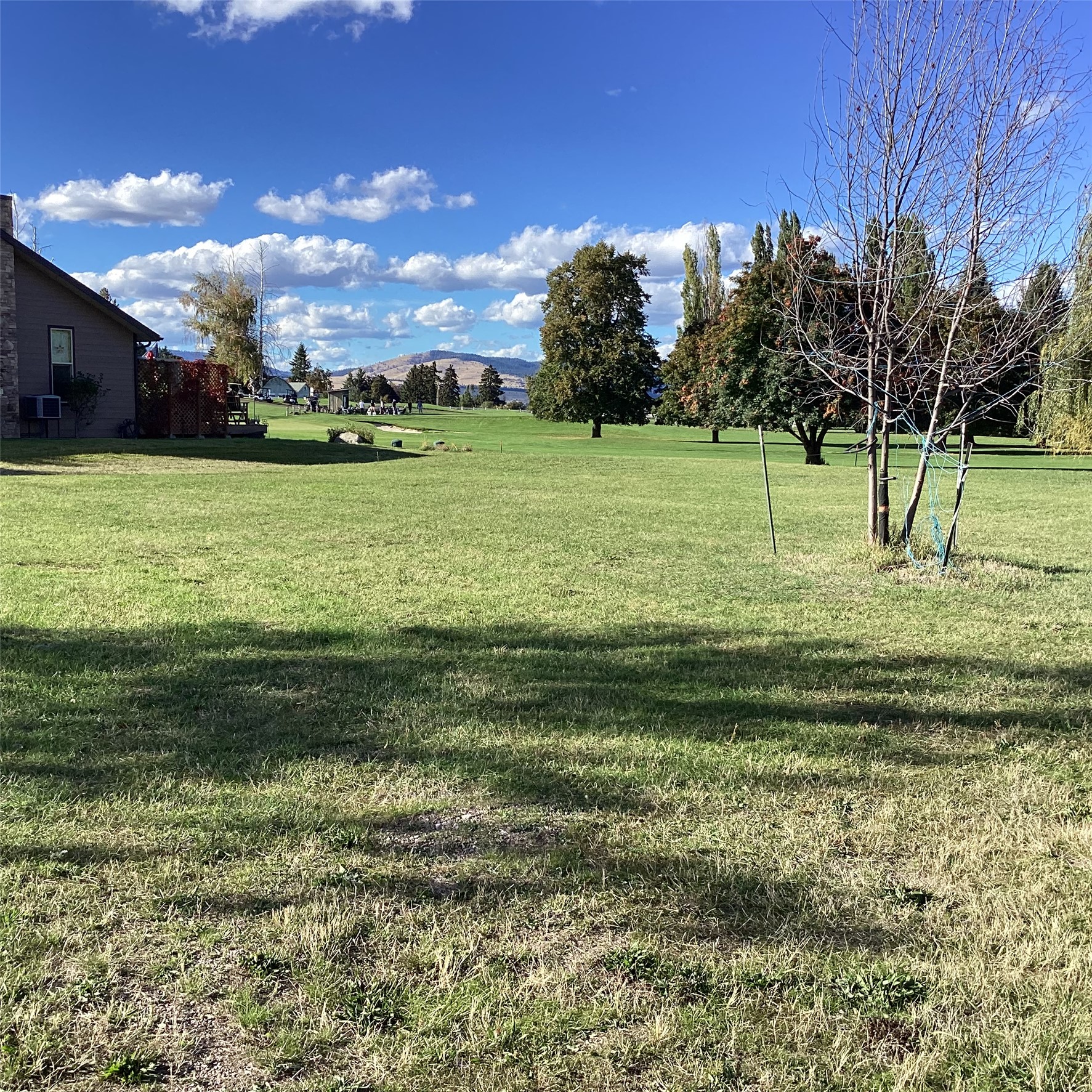 403 White Fox Run Property Photo 7
