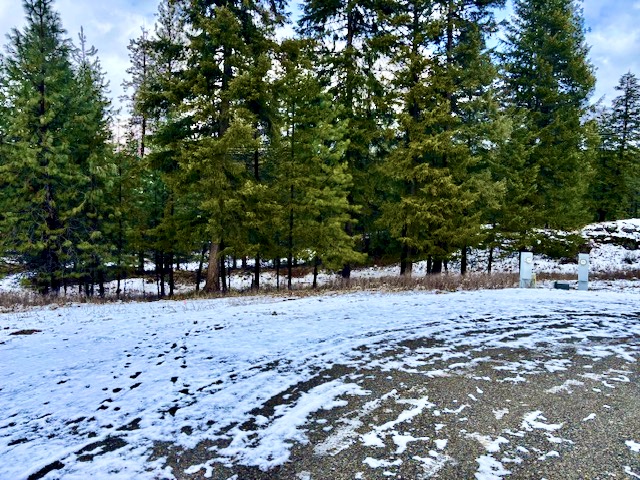 2517 Mossy Rock Court Property Photo 6