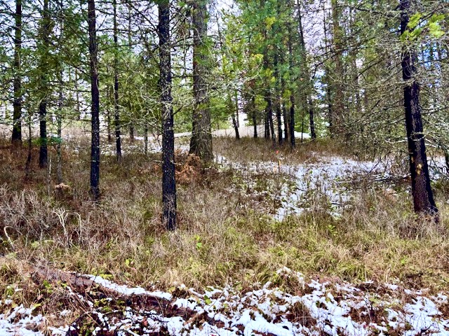 2517 Mossy Rock Court Property Photo 7