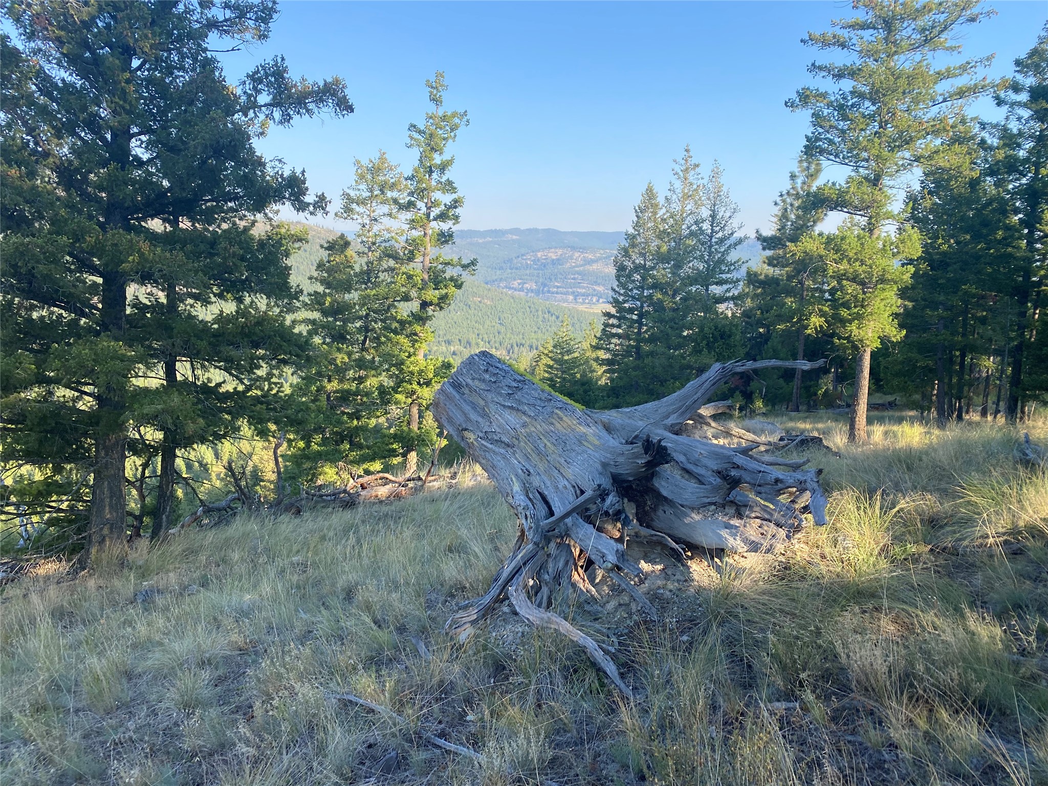 Nhh Whitetail Ridge Property Photo 6