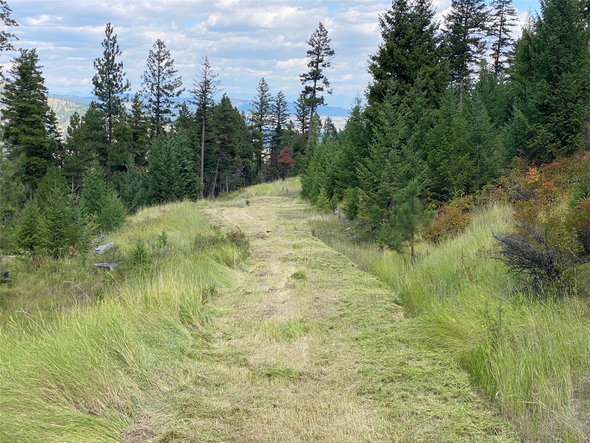 Nhh Whitetail Ridge Property Photo 8