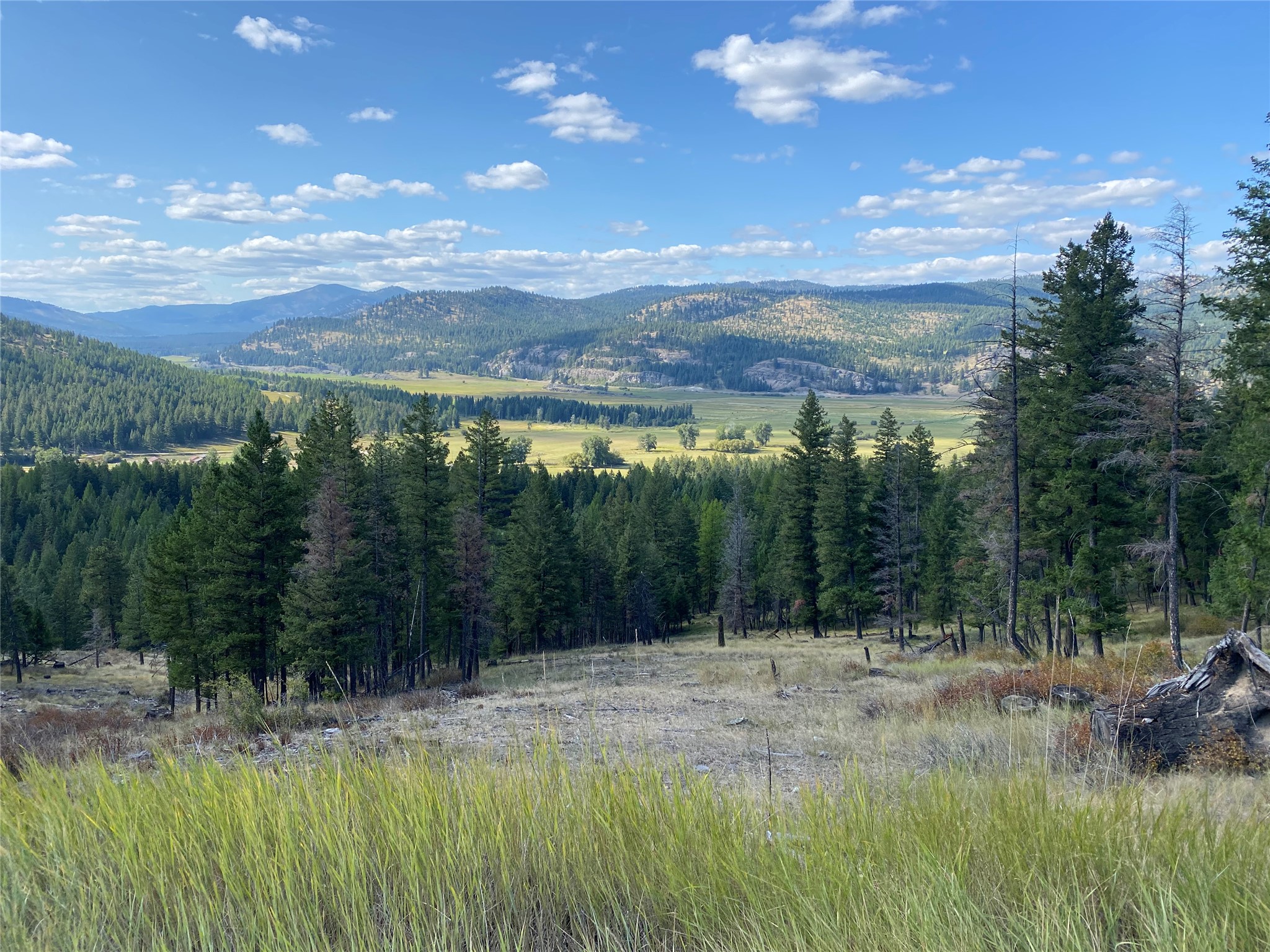Nhh Whitetail Ridge Property Photo 9