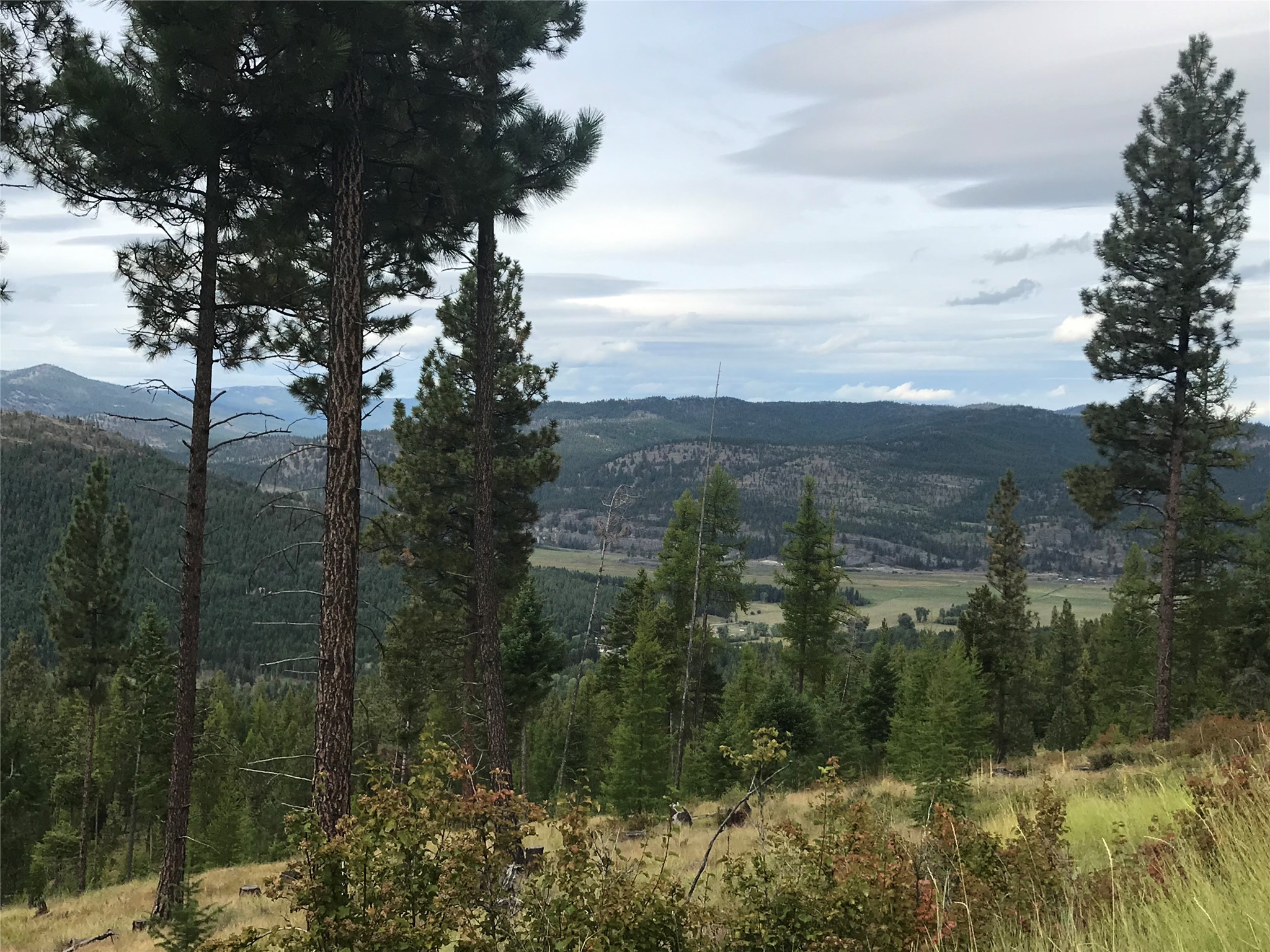 Nhh Whitetail Ridge Property Photo 11
