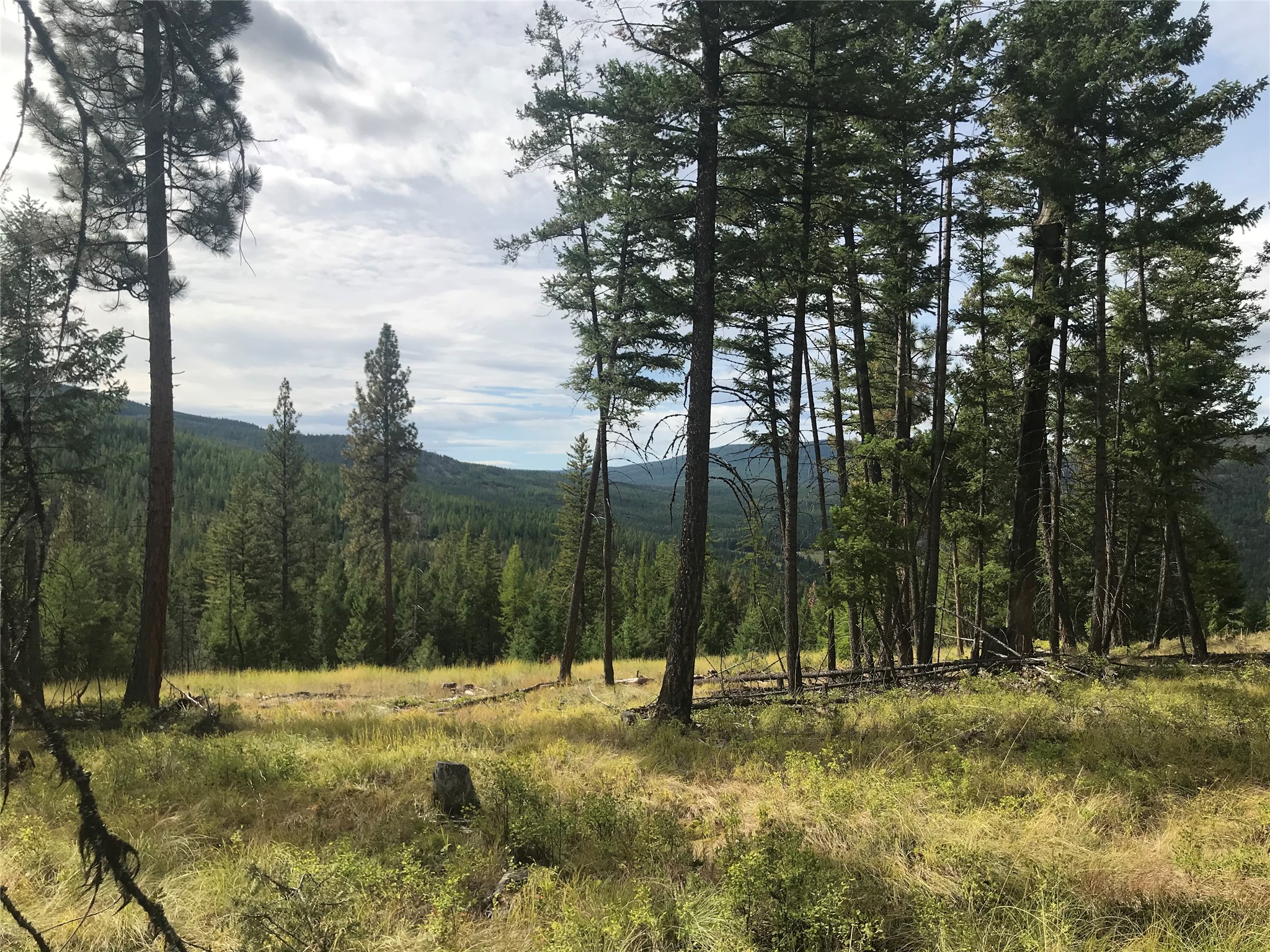 Nhh Whitetail Ridge Property Photo 12