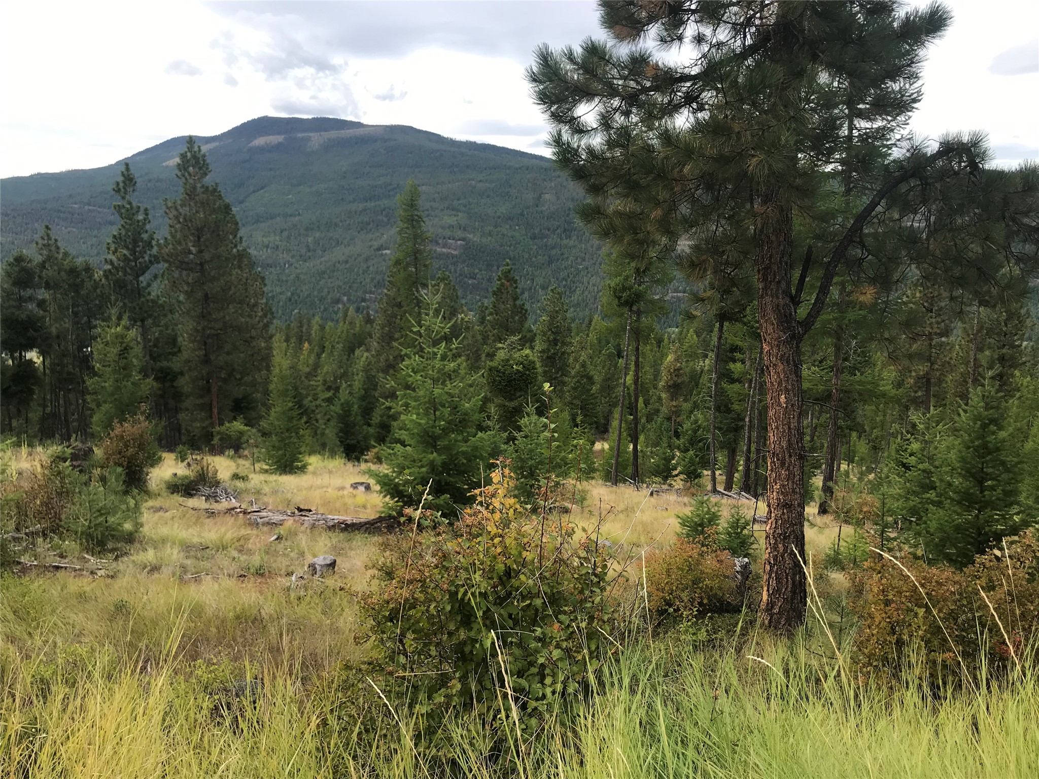 Nhh Whitetail Ridge Property Photo 13
