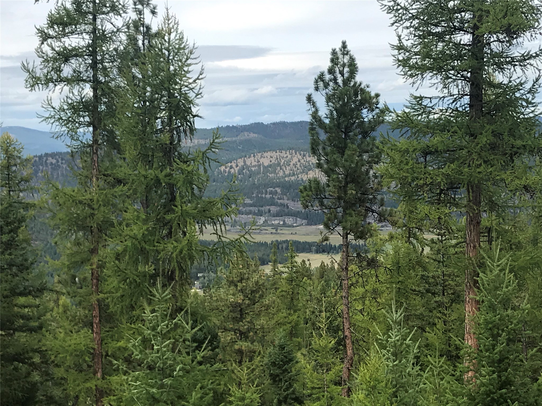 Nhh Whitetail Ridge Property Photo 14
