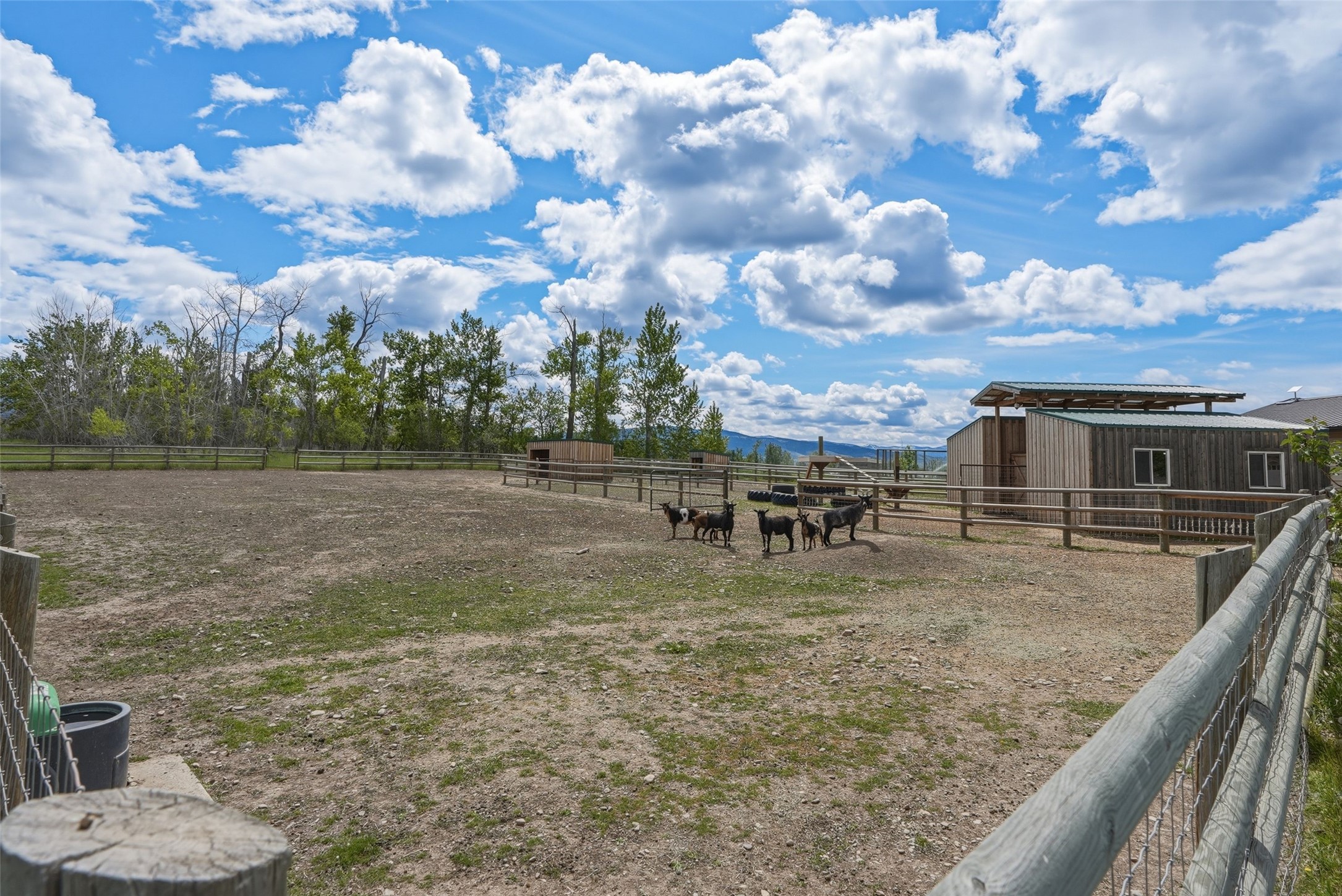 460 Windwalker Trail Property Photo 74